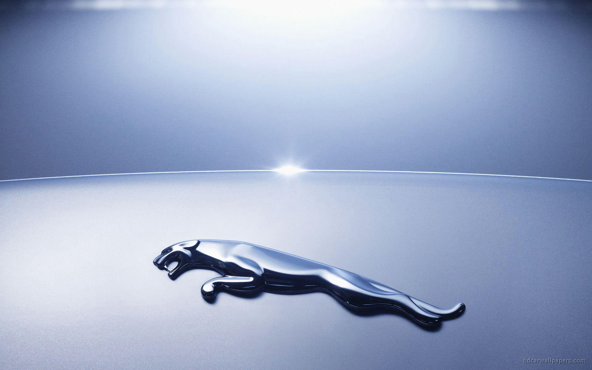 silver, cars, jaguar, logo, emblem, 1080P, HD Wallpaper