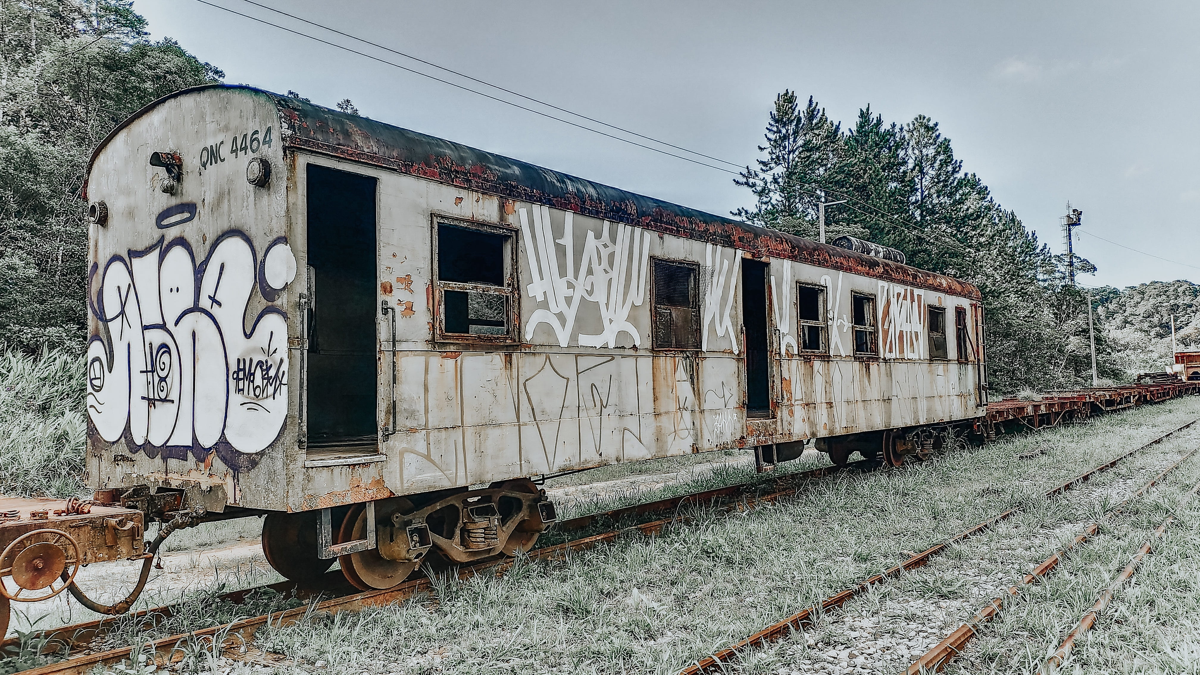 graffiti, locomotive, machine, railway, freight car, train - vehicle, public transportation, road, vehicle, no people, track, 4K, rust, nature, rail transportation, HD Wallpaper