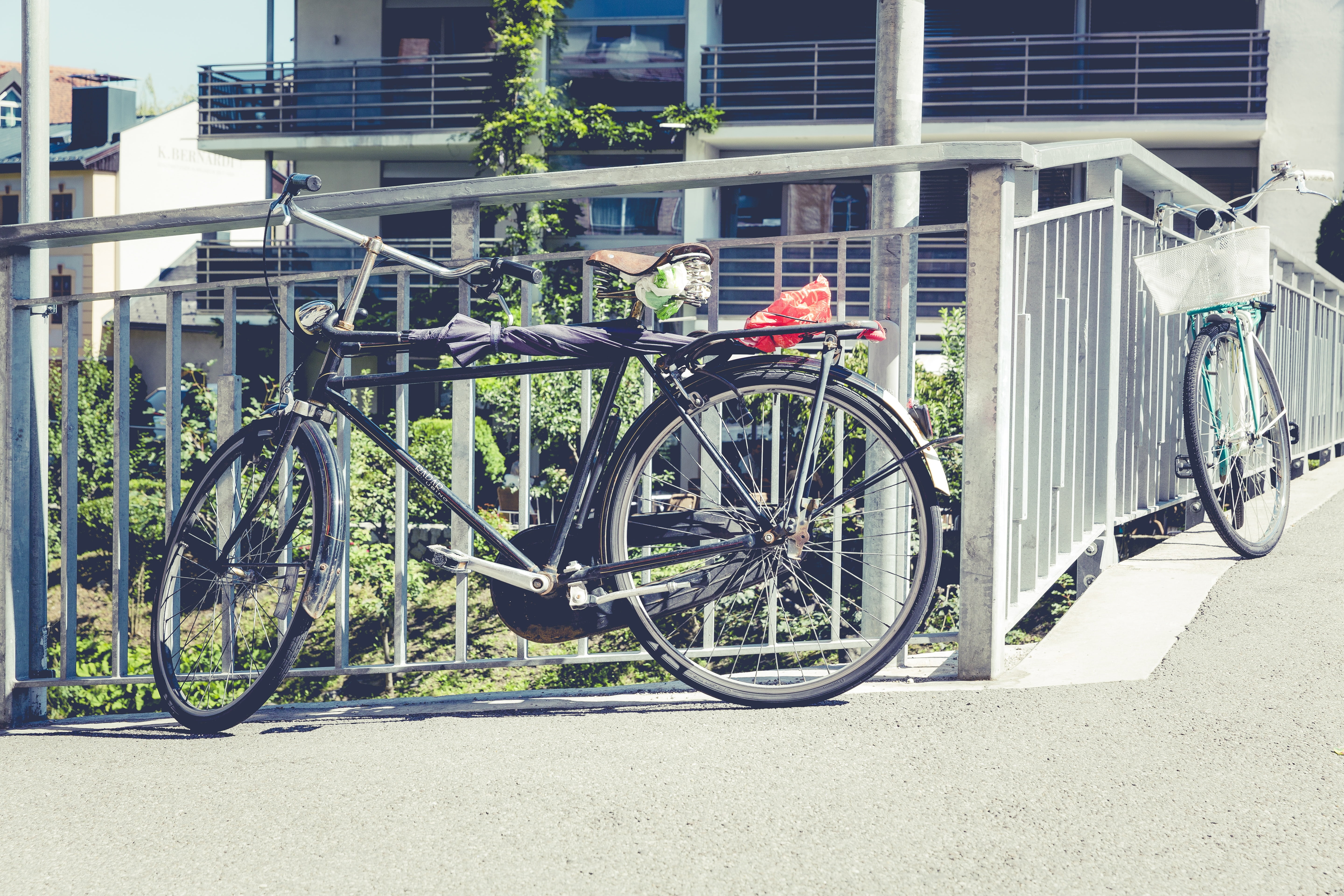 plant, view, transportation, cycling, city, bike, bicycle, atmosphere, means of transport, wheel, street, neo-urban, architecture, built structure, nature, HD Wallpaper