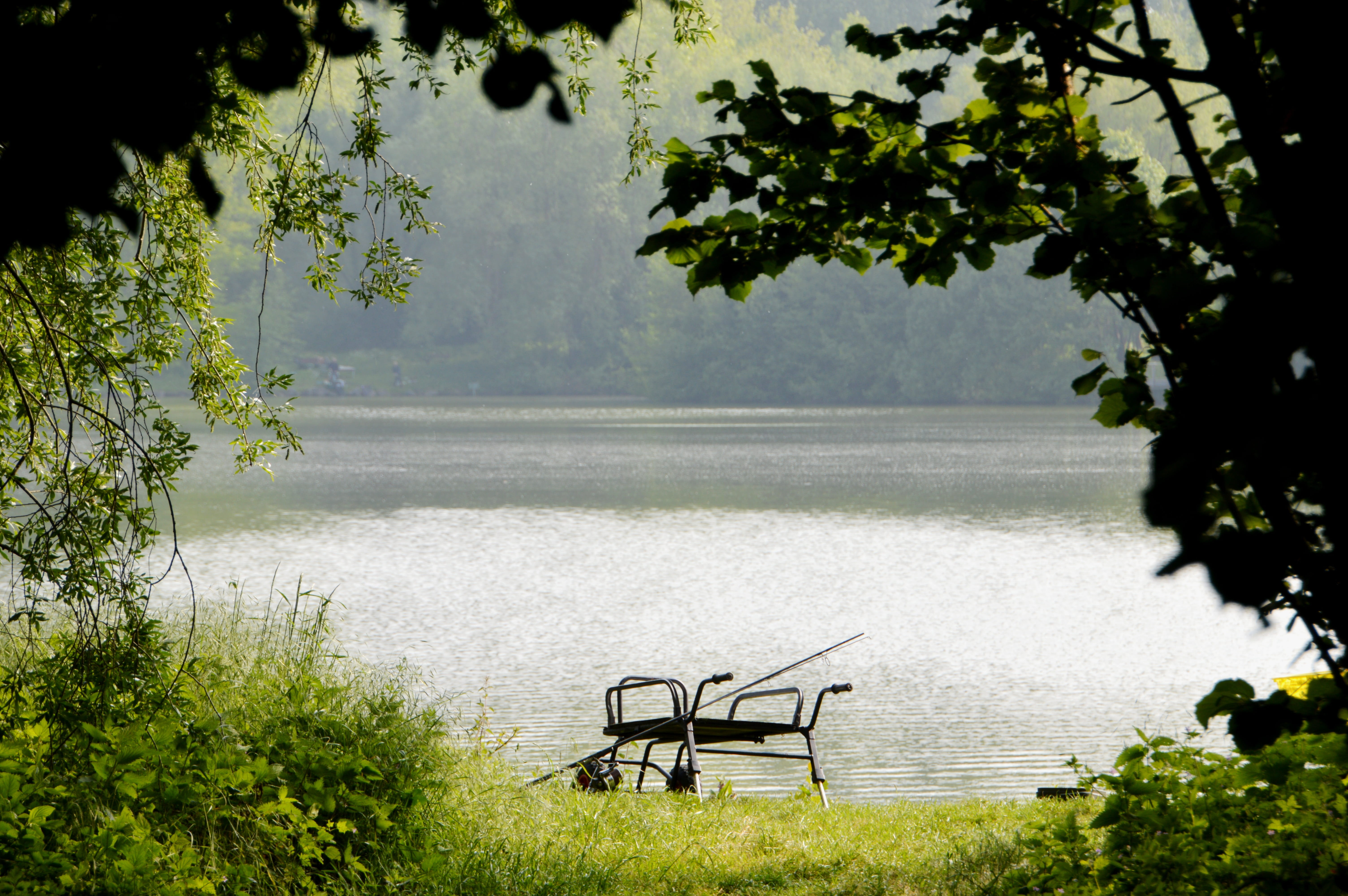 tree, lake, absence, park, fishing cap, empty, day, grass, water, outdoors, carp fishing, artificial lures, hobby, hobbies, fly fishing, 5K, fishing rods, HD Wallpaper