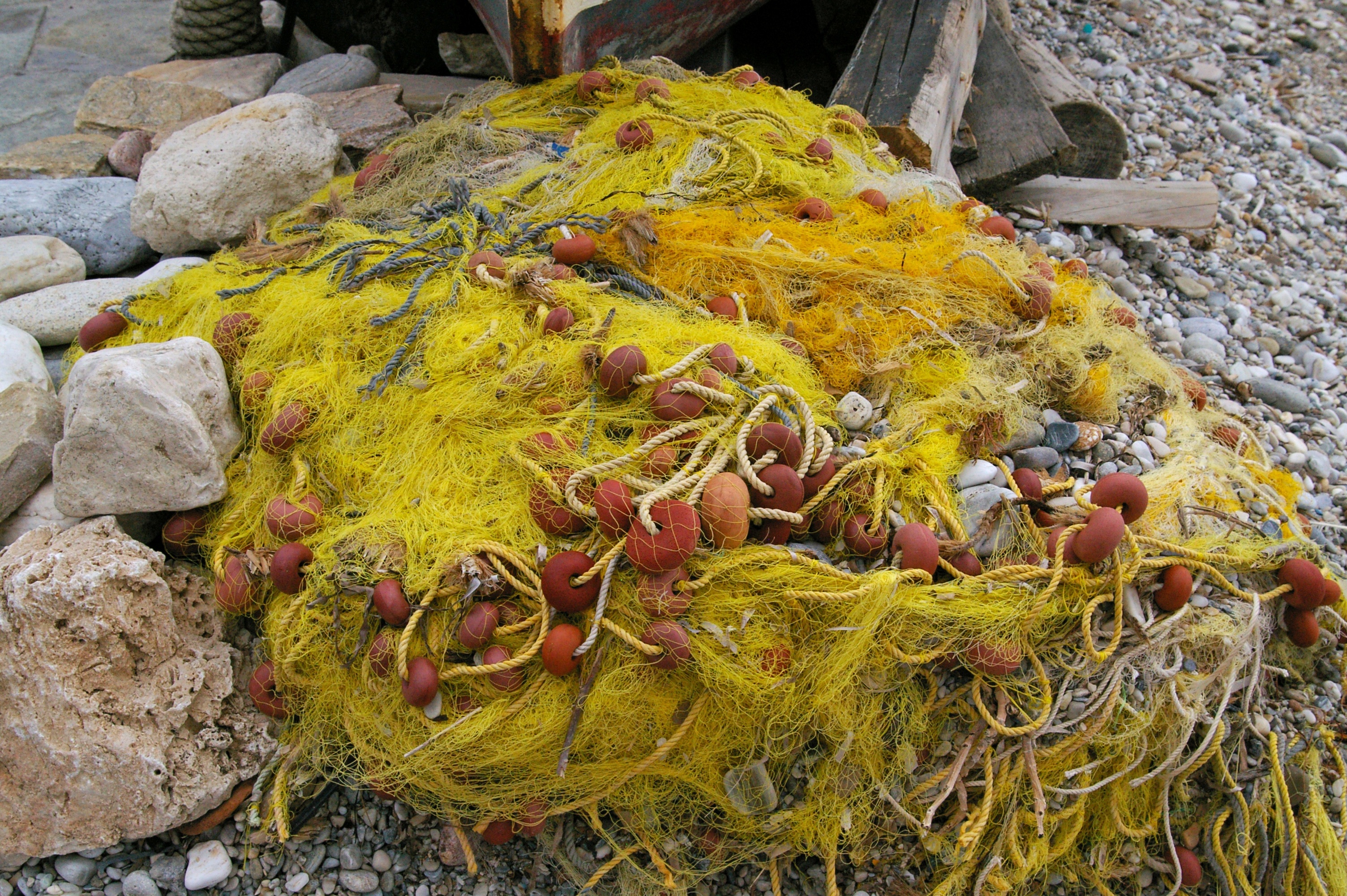animal themes, beach, leaf, rock - object, solid, fischer, boot, animal wildlife, tree, 2K, close-up, food and drink, water, yellow, fishing net, leaves, HD Wallpaper