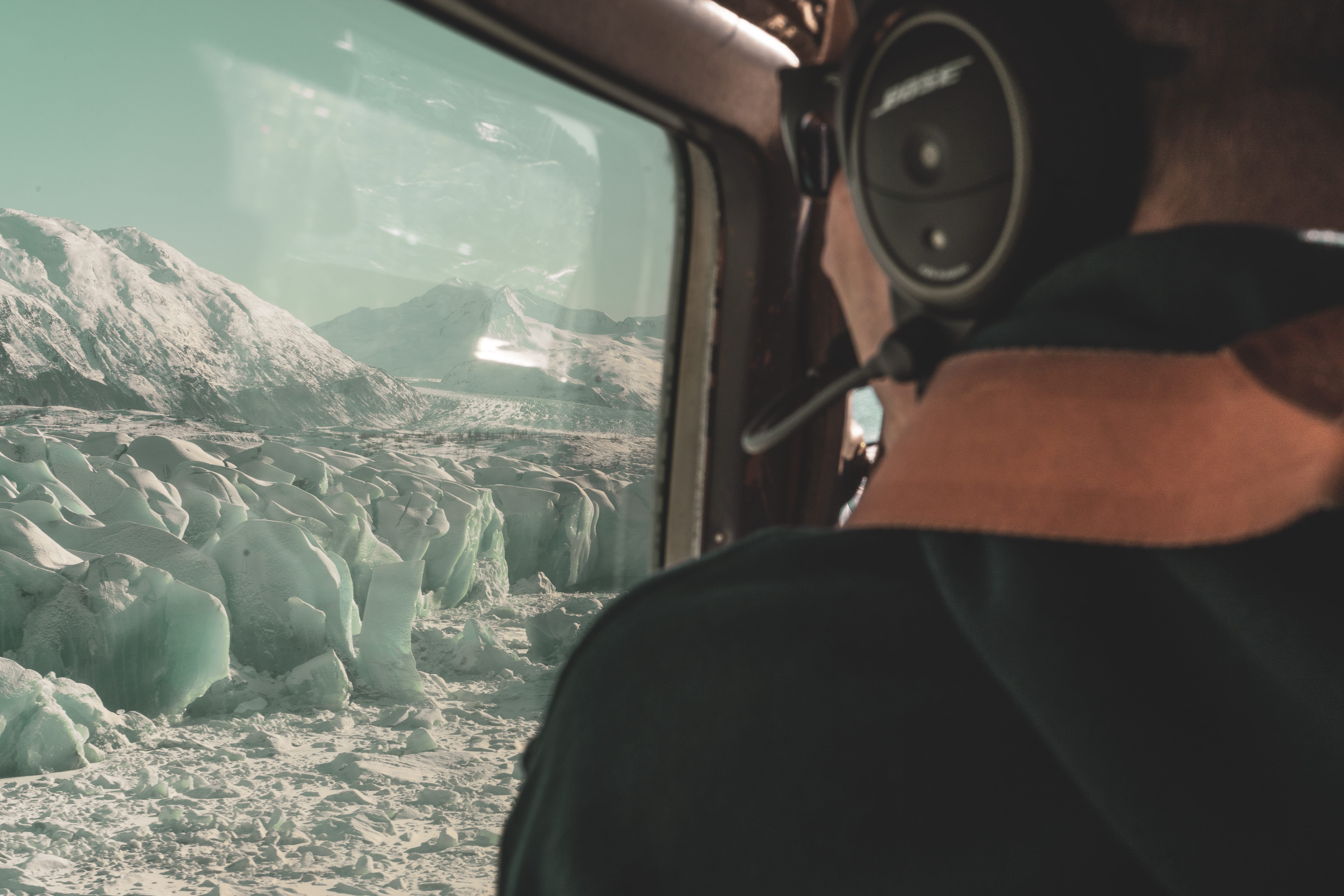 sea lion, animal, one person, seal, real people, day, wildlife, vehicle, mode of transportation, outdoors, vehicle interior, nature, cushion, men, people, HD Wallpaper