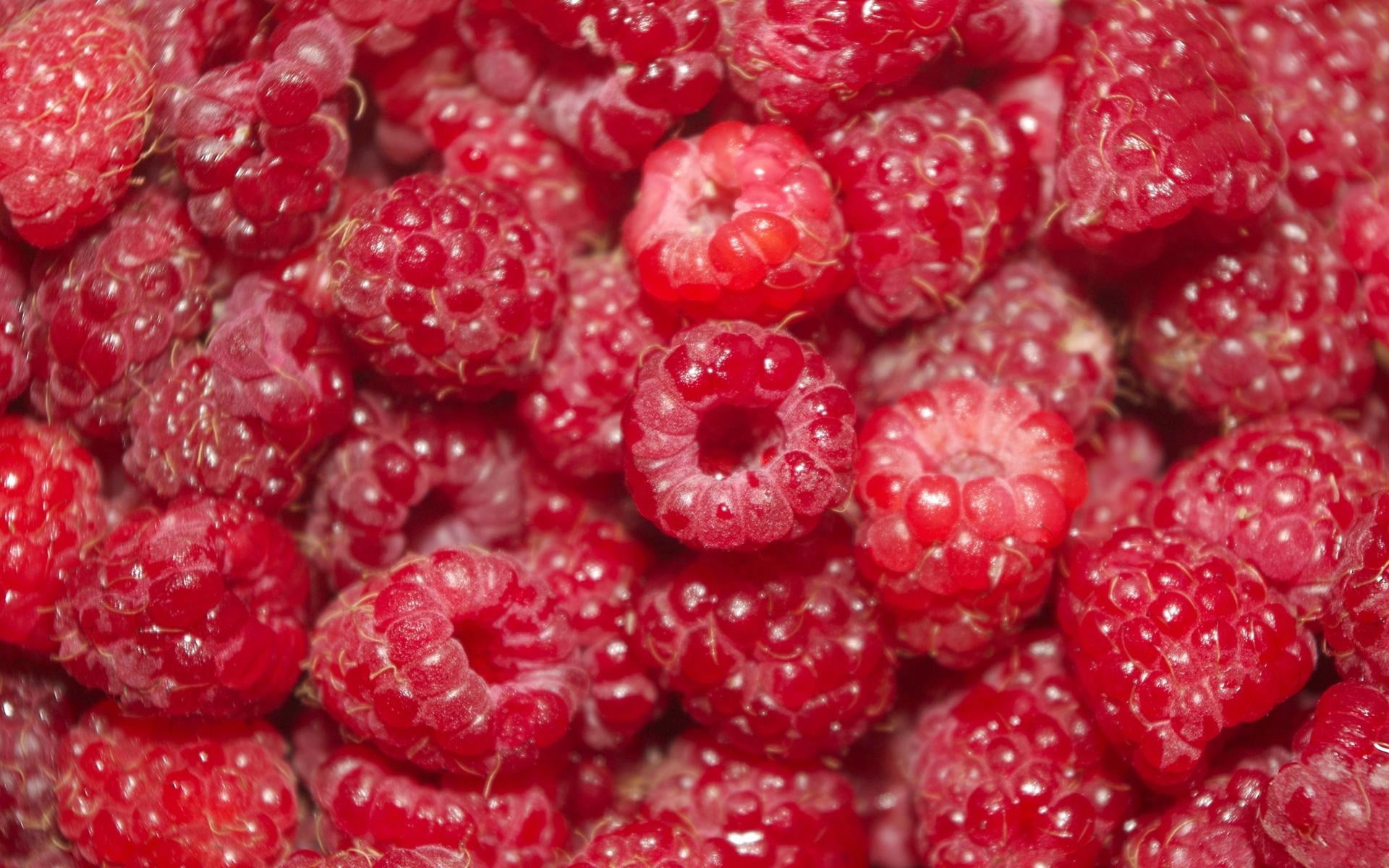 raspberry, refreshment, vitamin, damp, juicy, freshness, ripe, macro, raw Food, fruit, full frame, eating, gourmet, 1080P, vegetarian Food, food, abundance, HD Wallpaper