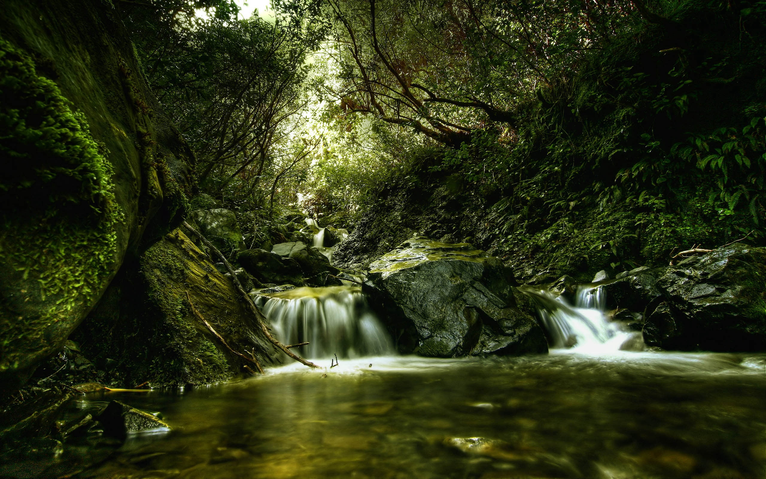 motion, idyllic, freshness, outdoors, stream - flowing water, cloudy, tranquil Scene, uncultivated, green Color, sky, power in nature, growth, moss, river, HD Wallpaper