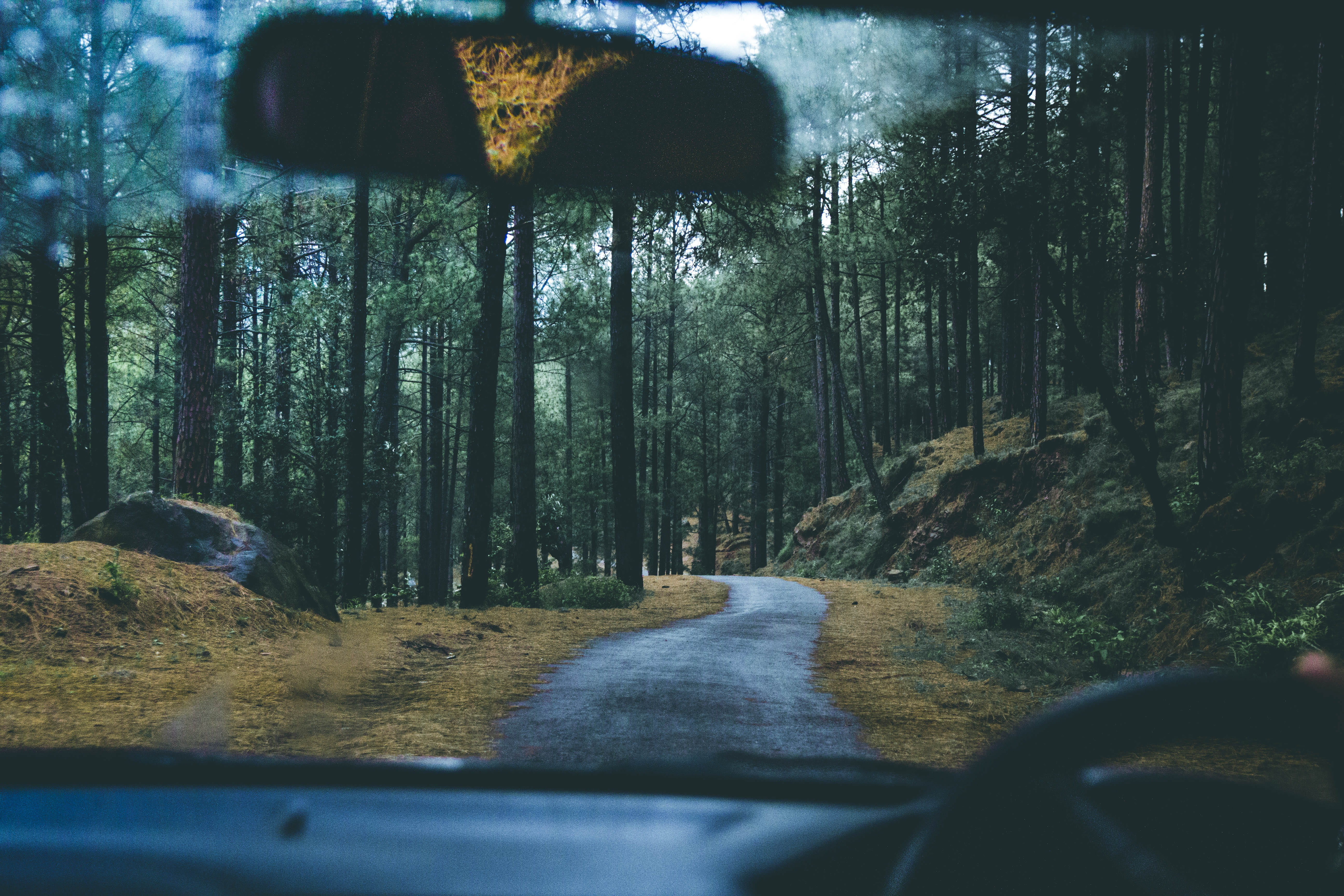 vehicle interior, windshield, rain, forest path, front, vehicle, car mirror, glass - material, moody, drive through, trees, land, beauty in nature, forest, HD Wallpaper