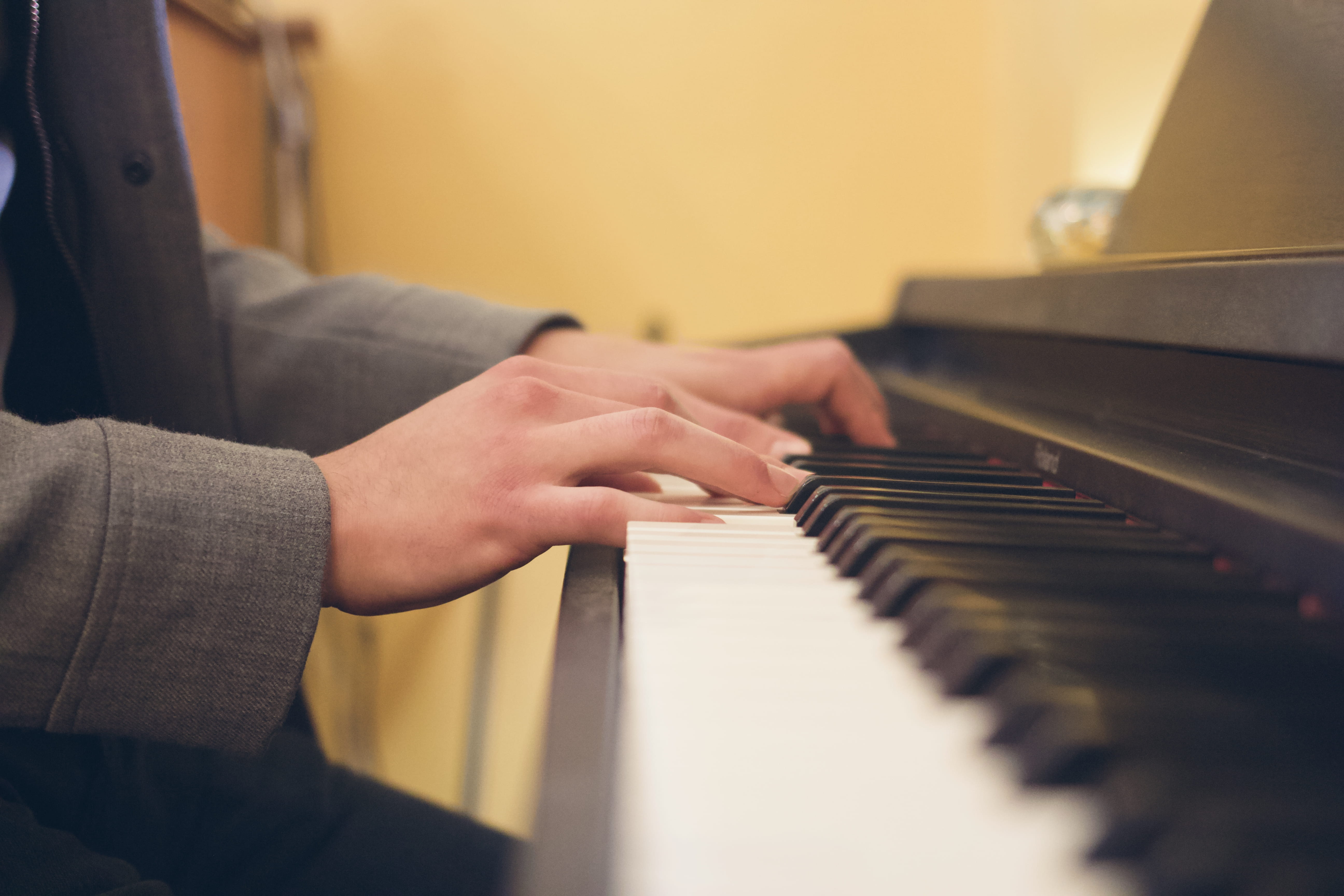 keyboard instrument, skill, sweets, confectionery, brass section, 5K, percussion, pianist, indoors, hand, drum, food, leisure activities, arts culture and entertainment, HD Wallpaper