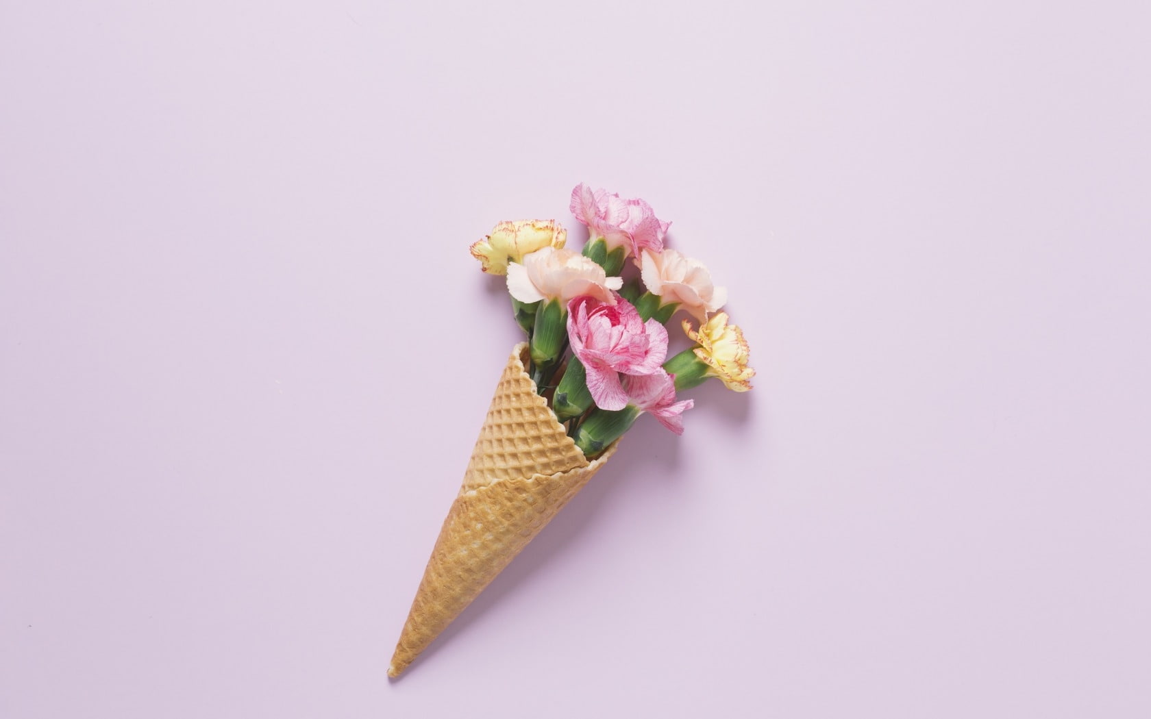 720P, card, cornet, pink, flower, Have a lovely day!, HD Wallpaper