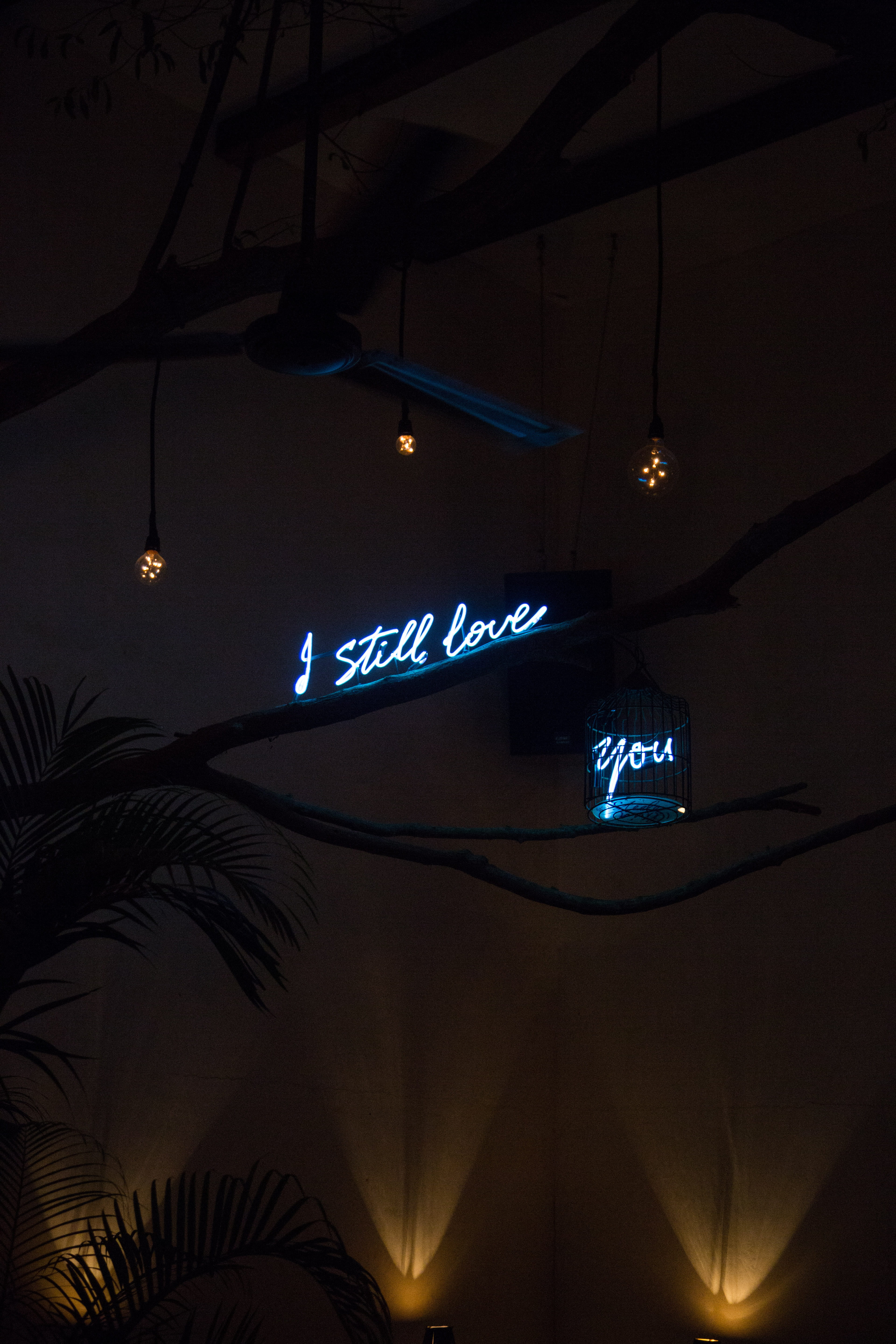 night, built structure, gong, electricity, logo, barbed wire, symbol, decoration, lightbulb, luxury, light, restaurant, hanging, text, trademark, lighting equipment, Phone HD Wallpaper