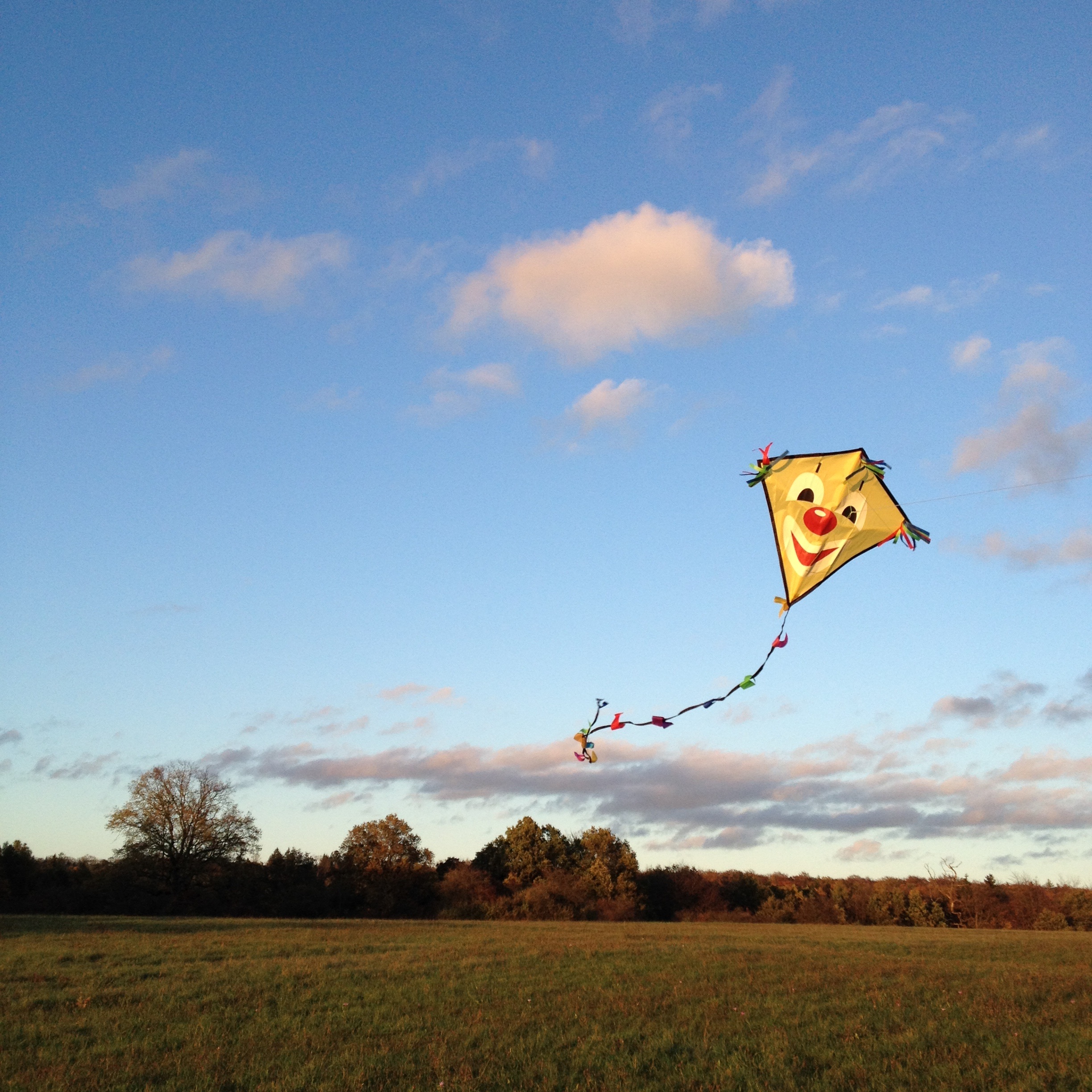 toys, 1080P, landscape, wind, tranquil scene, tree, field, kite - toy, autumn, environment, plant, nature, fly, kites rise, day, fun, beauty in nature, Phone HD Wallpaper