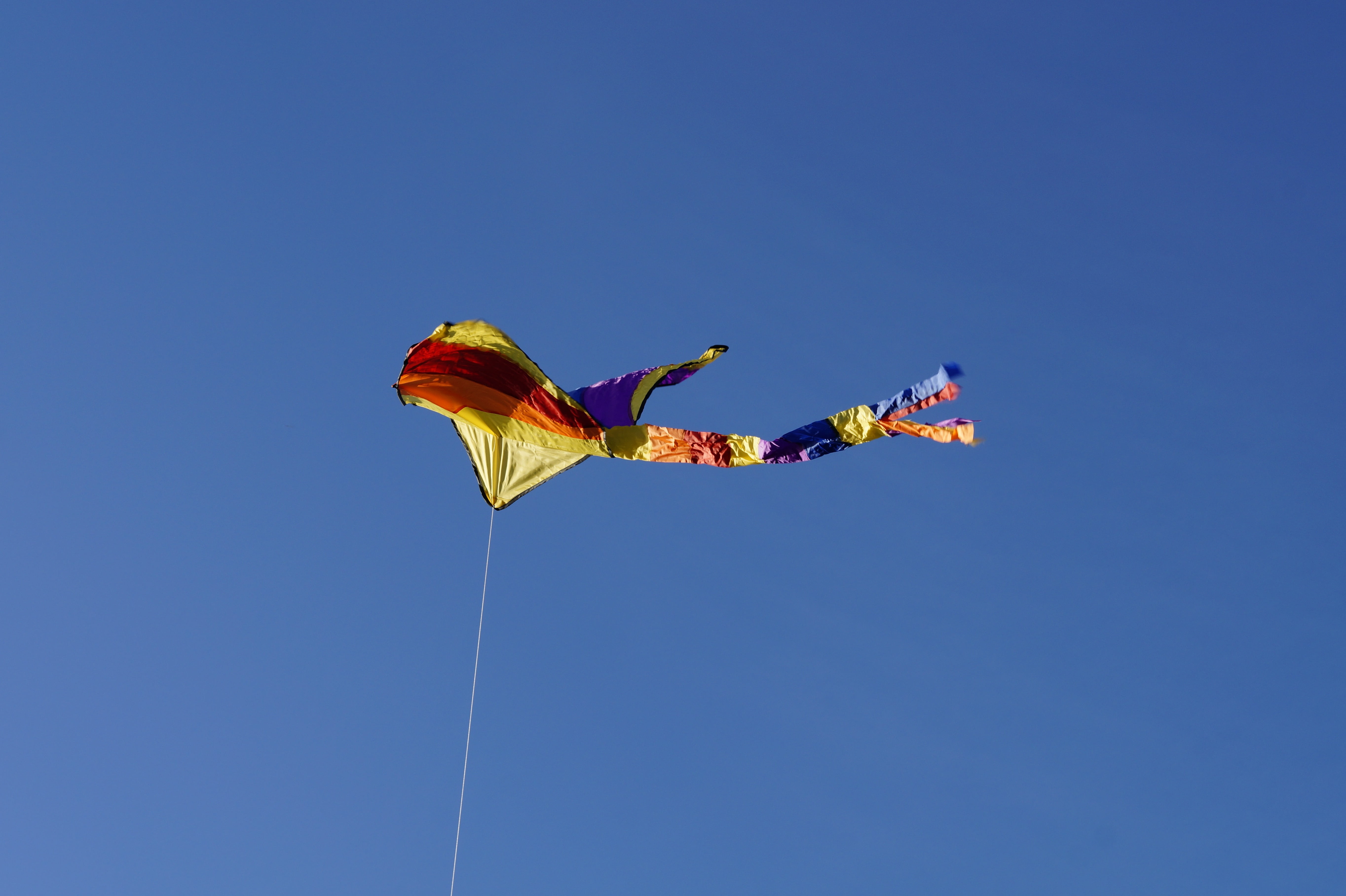 top, child, windy, children, kites rise, colorful, mid-air, sunny, no people, dragon rising, day, kite flying, outdoors, dragons, animal, animal body part, HD Wallpaper
