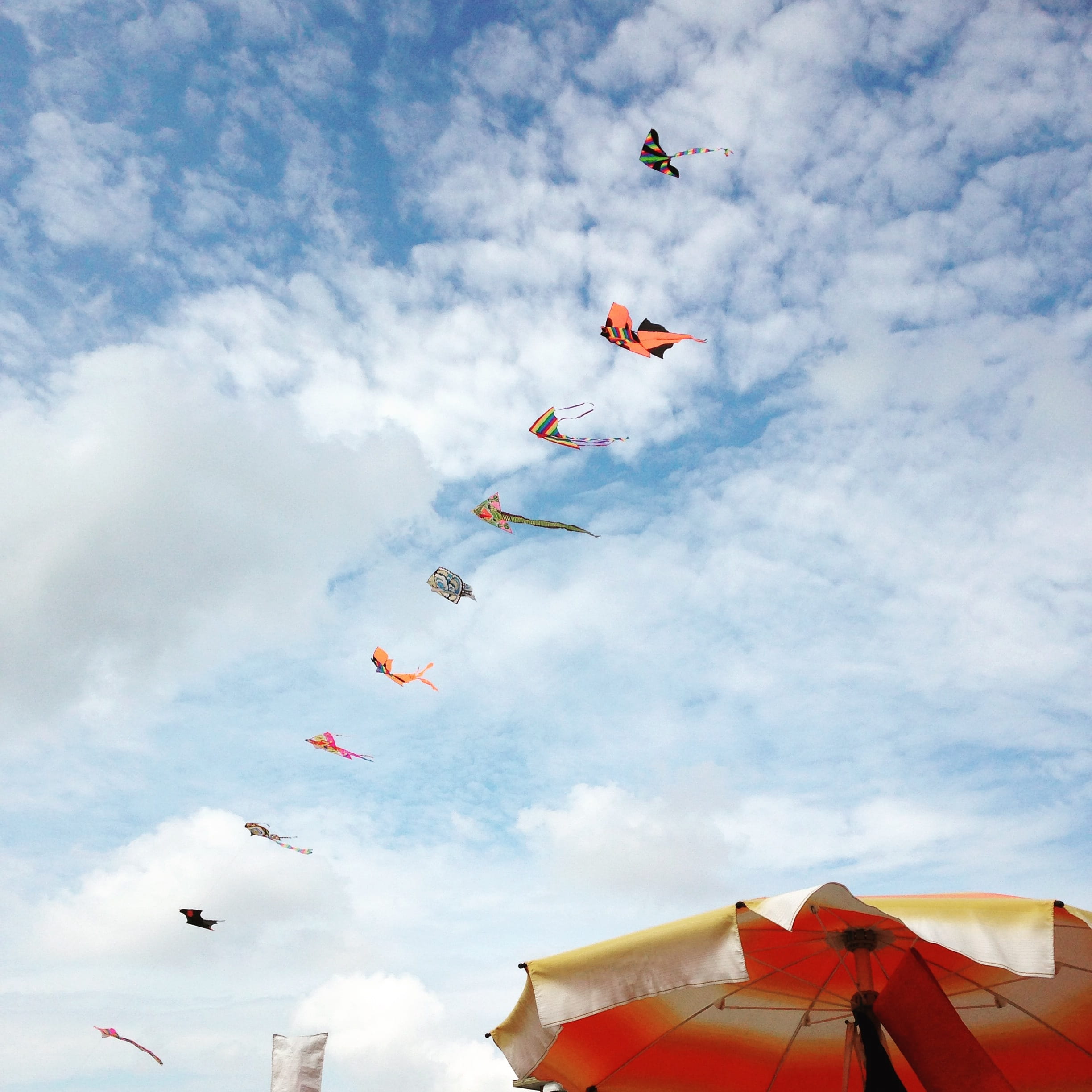 vertebrate, animal, summer, kids dragon, motion, air cloud, animal themes, hanging, blue, flying, mid-air, kite - toy, Sky, Dragon Rising, Wind, multi colored, Phone HD Wallpaper