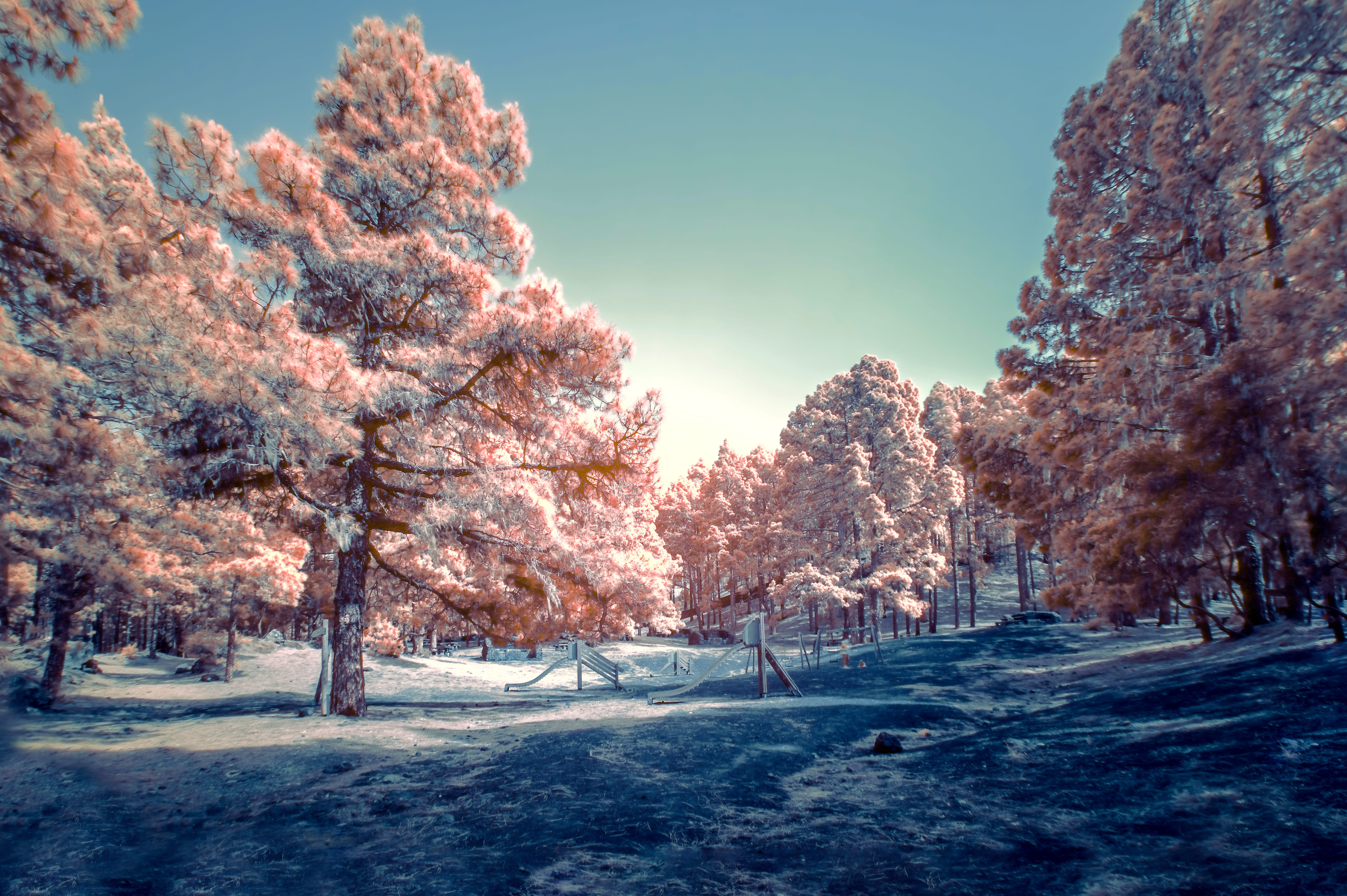 park - Man Made Space, bright, landscape, christmas, sunset, weather, color, outdoors, beauty In Nature, scenics, sunlight, teal, digital, rural Scene, HD Wallpaper