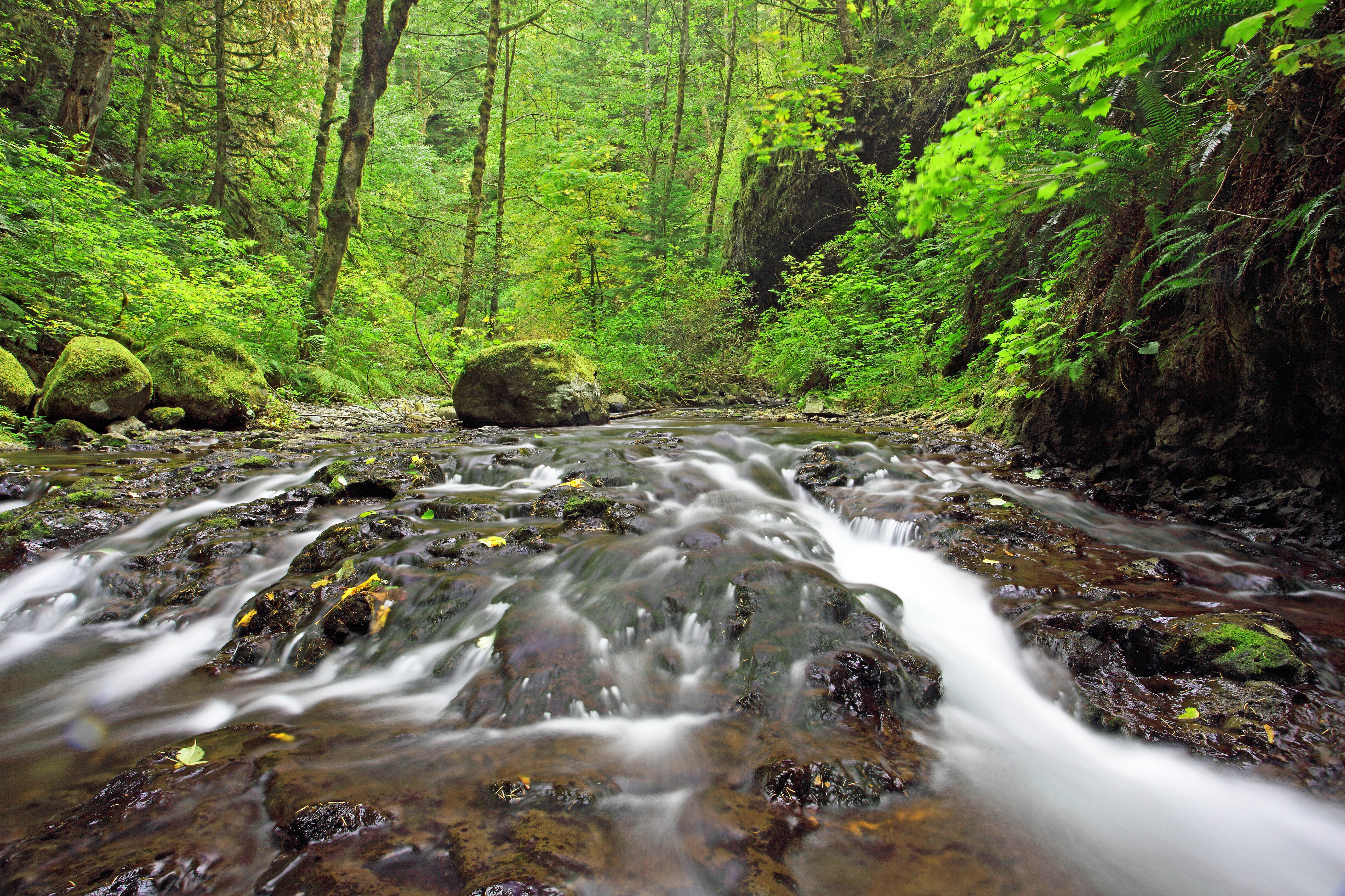 waterfall, rock - Object, green Color, Oregon, 5K, Columbia  River  Gorge, tree, mountain, river, running, in the forest, Quiet, scenics, water, beauty In Nature, HD Wallpaper