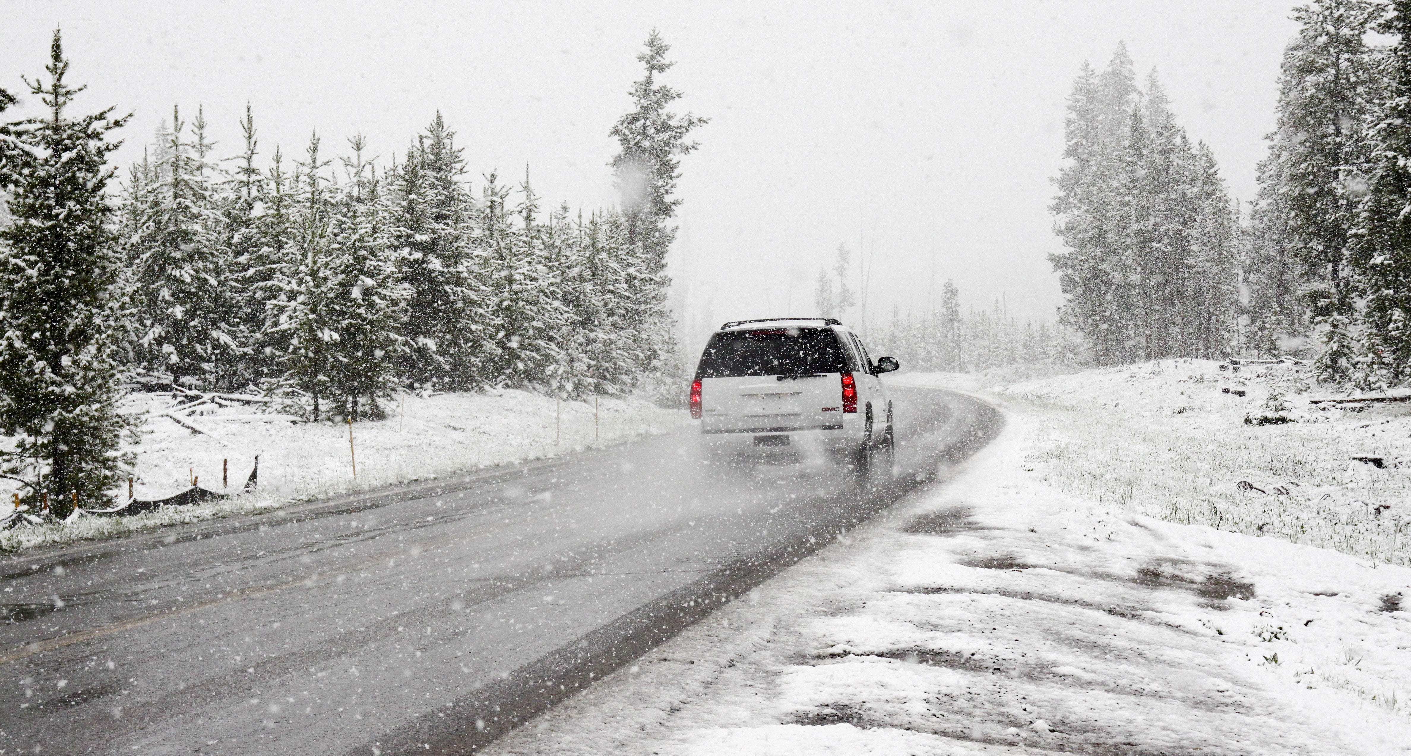 extreme weather, coniferous tree, 4K, suv, road, weather, snowstorm, blizzard, car, frozen, day, motor vehicle, travel, pine tree, no people, nature, snowing, HD Wallpaper