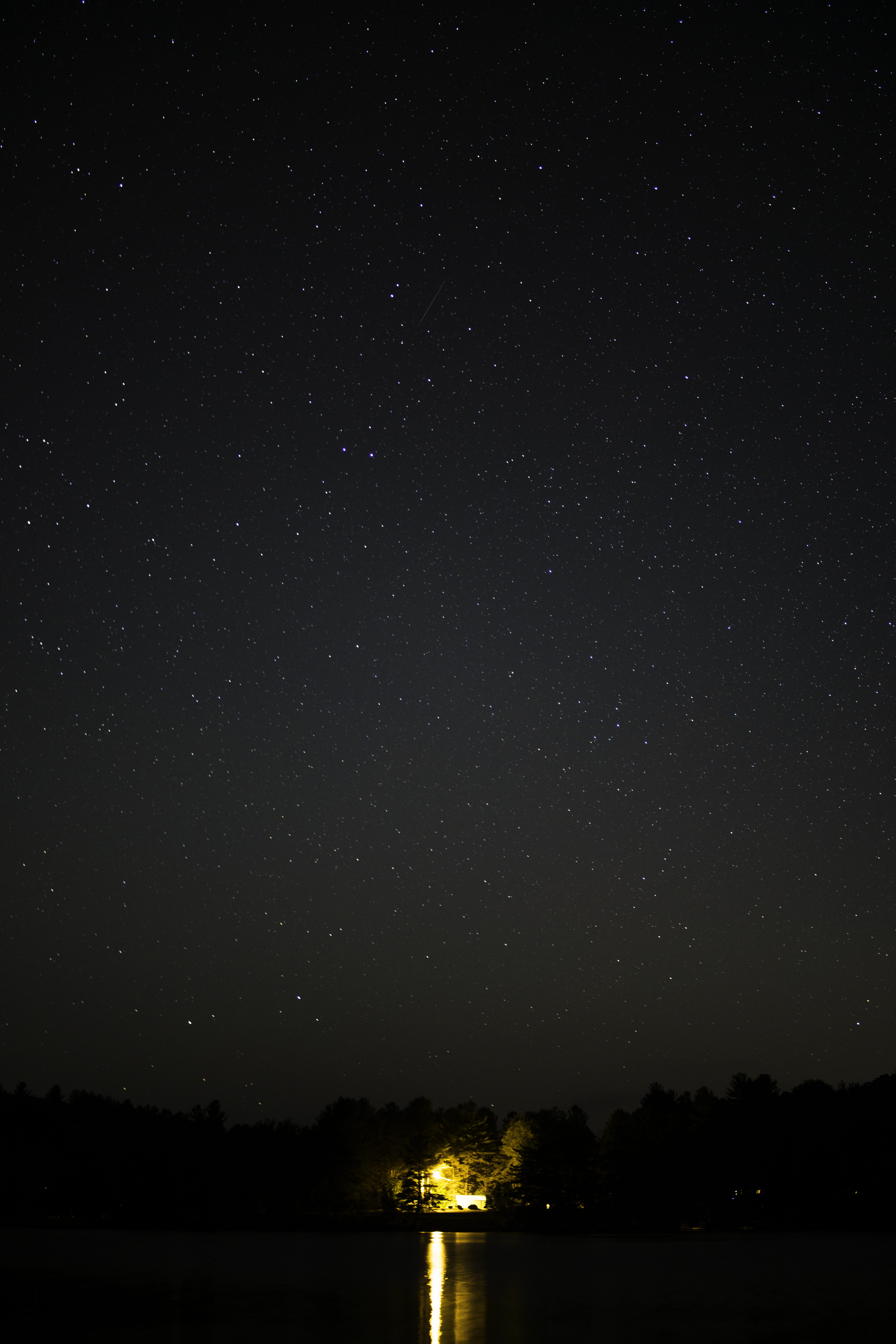 stars, trees, 5K, tree, home, sony, idyllic, sky, long exposure, space and astronomy, astronomy, outdoors, sony a7r, star, warm, light house, exposure, Phone HD Wallpaper