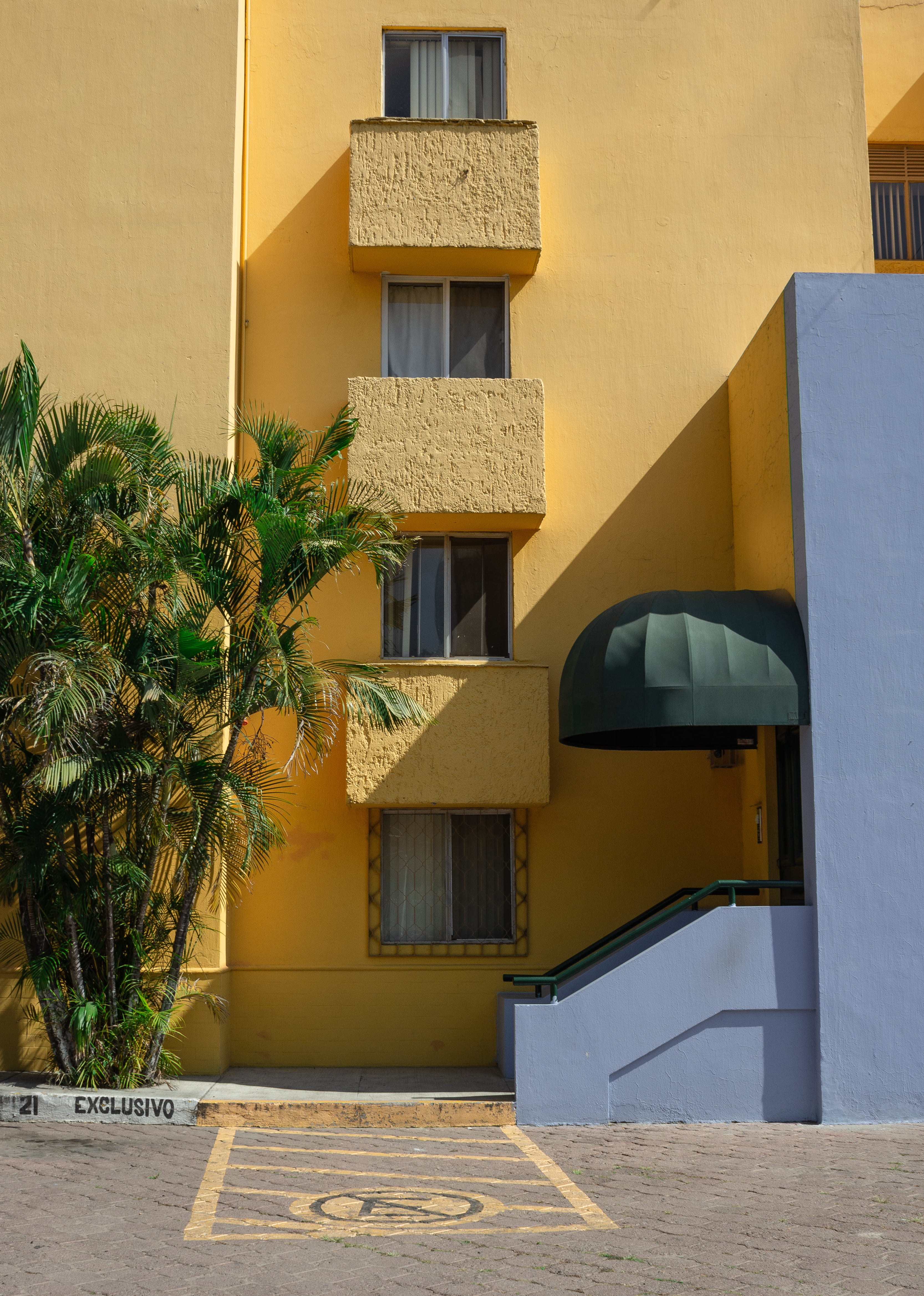 architecture, day, building exterior, palm tree, green, sunlight, city, 4K, tropical climate, urban, guadalajara, shutter, window shade, awning, curtain, Phone HD Wallpaper