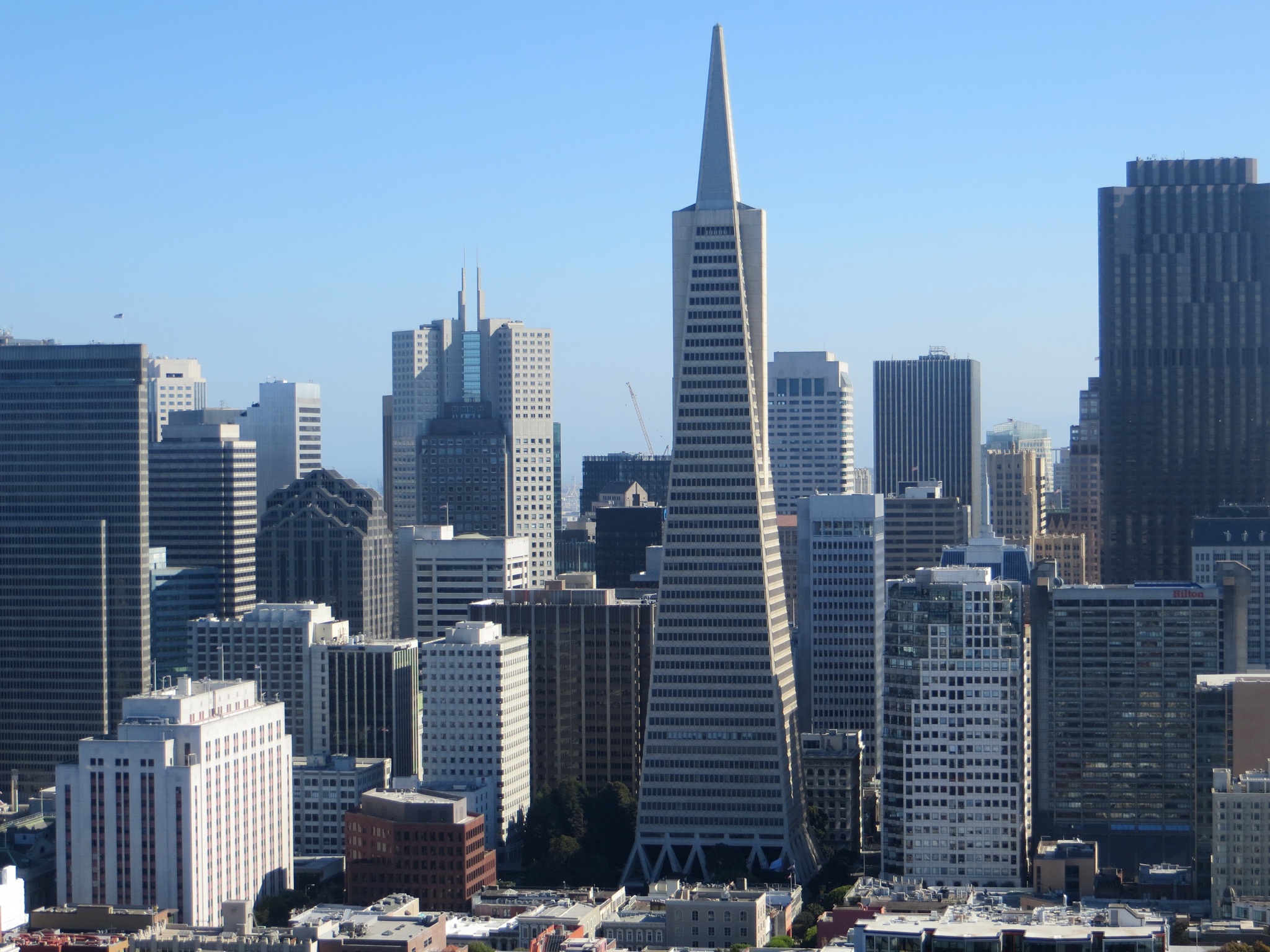 day, california, architecture, spire, outdoors, tall - high, building, nature, financial district, skyscraper, building exterior, francisco, office, landscape, HD Wallpaper