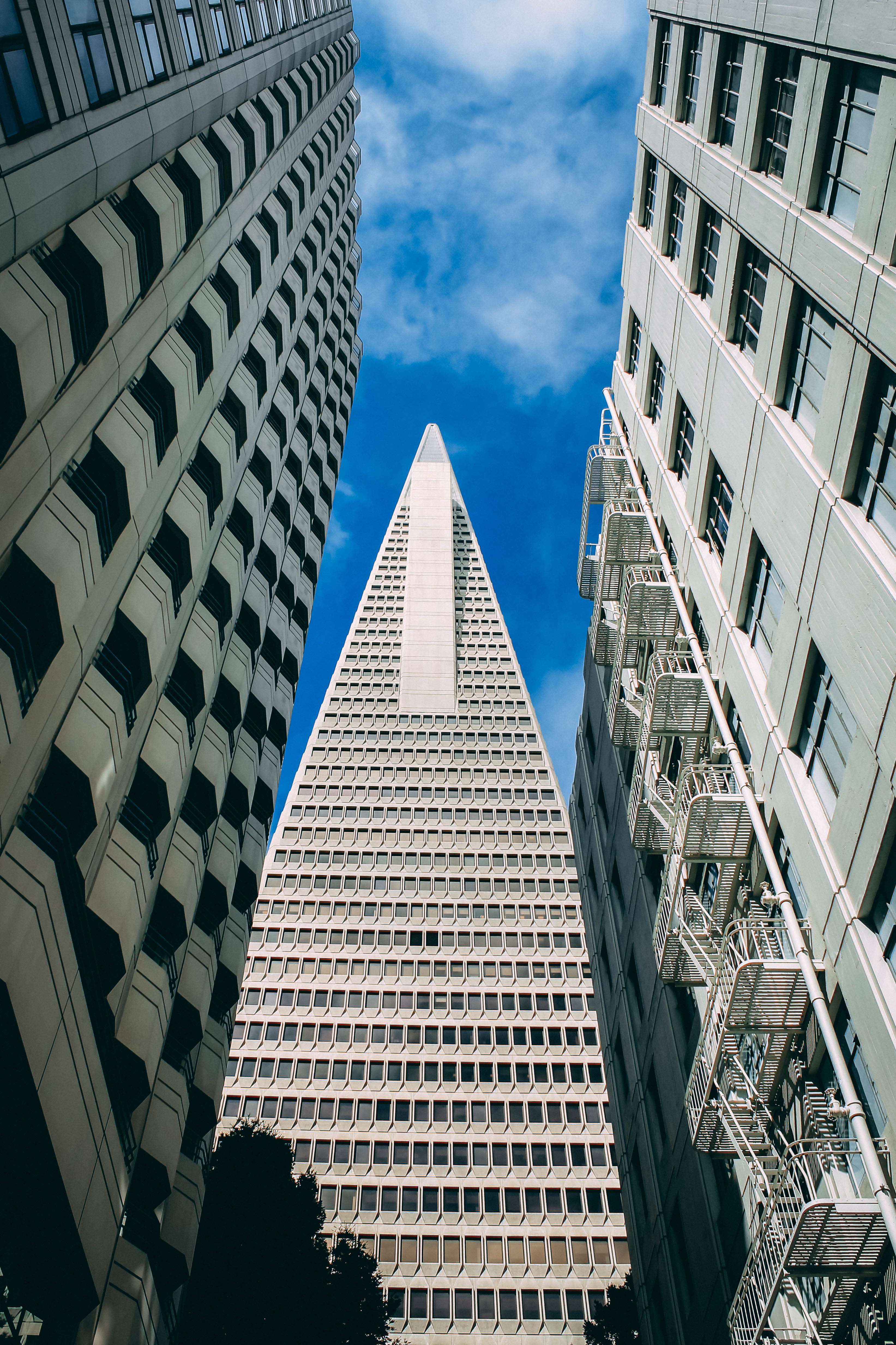 tall, buildings, 4K, office building exterior, stairs, building, city, day, blue, building exterior, nature, skyscraper, daytime, cloud - sky, low angle view, Phone HD Wallpaper