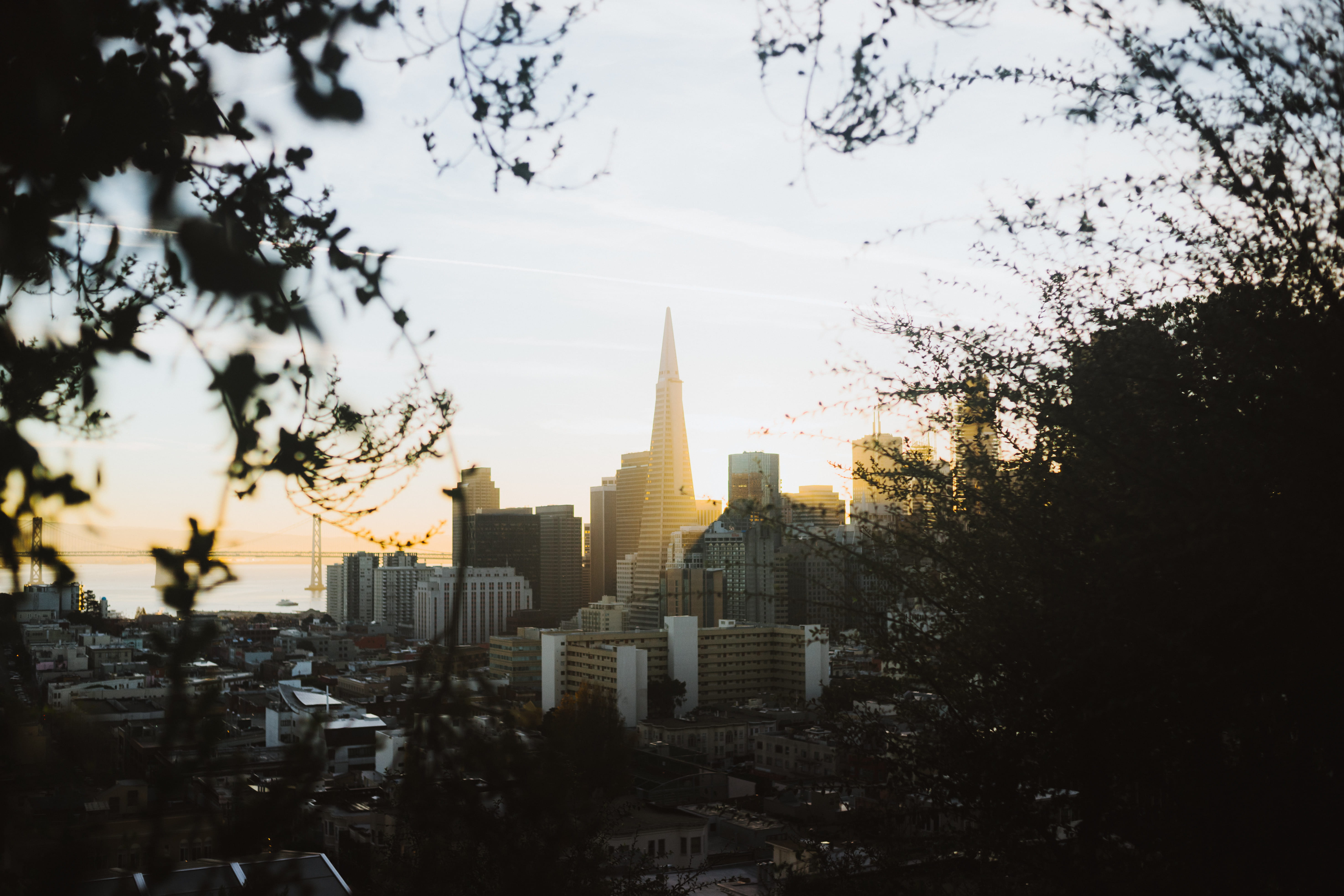 no people, spire, travel, city, transamerica, sf, yellow, sunrise, tall - high, plant, tower, nature, golden hour, building, 5K, ina coolbrith park, financial district, HD Wallpaper
