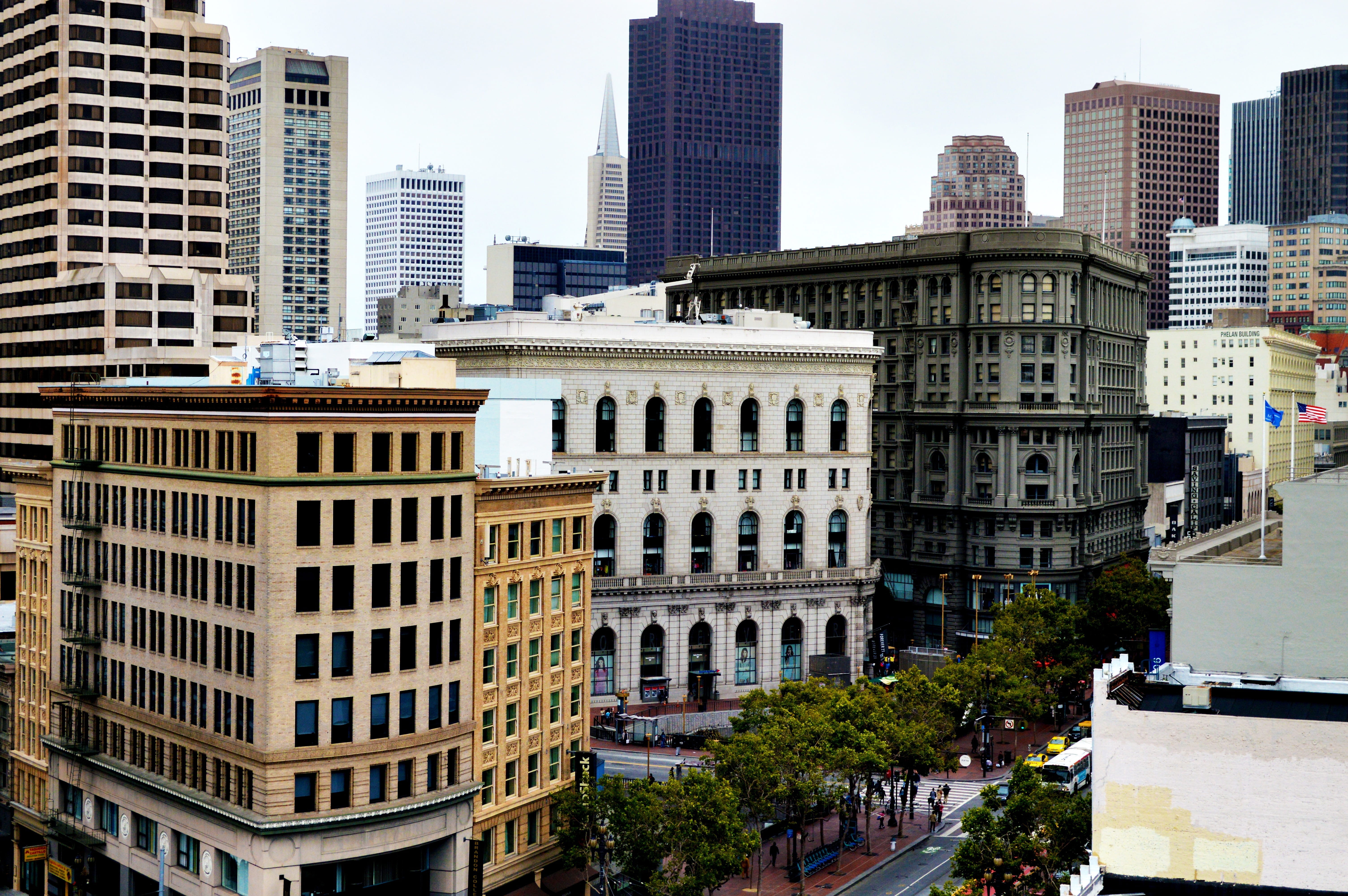 bay, famous, san, 5K, view, financial, san francisco, skyscrapers, concrete, day, francisco, architecture, landmark, nature, cityscape, transamerica, business, HD Wallpaper