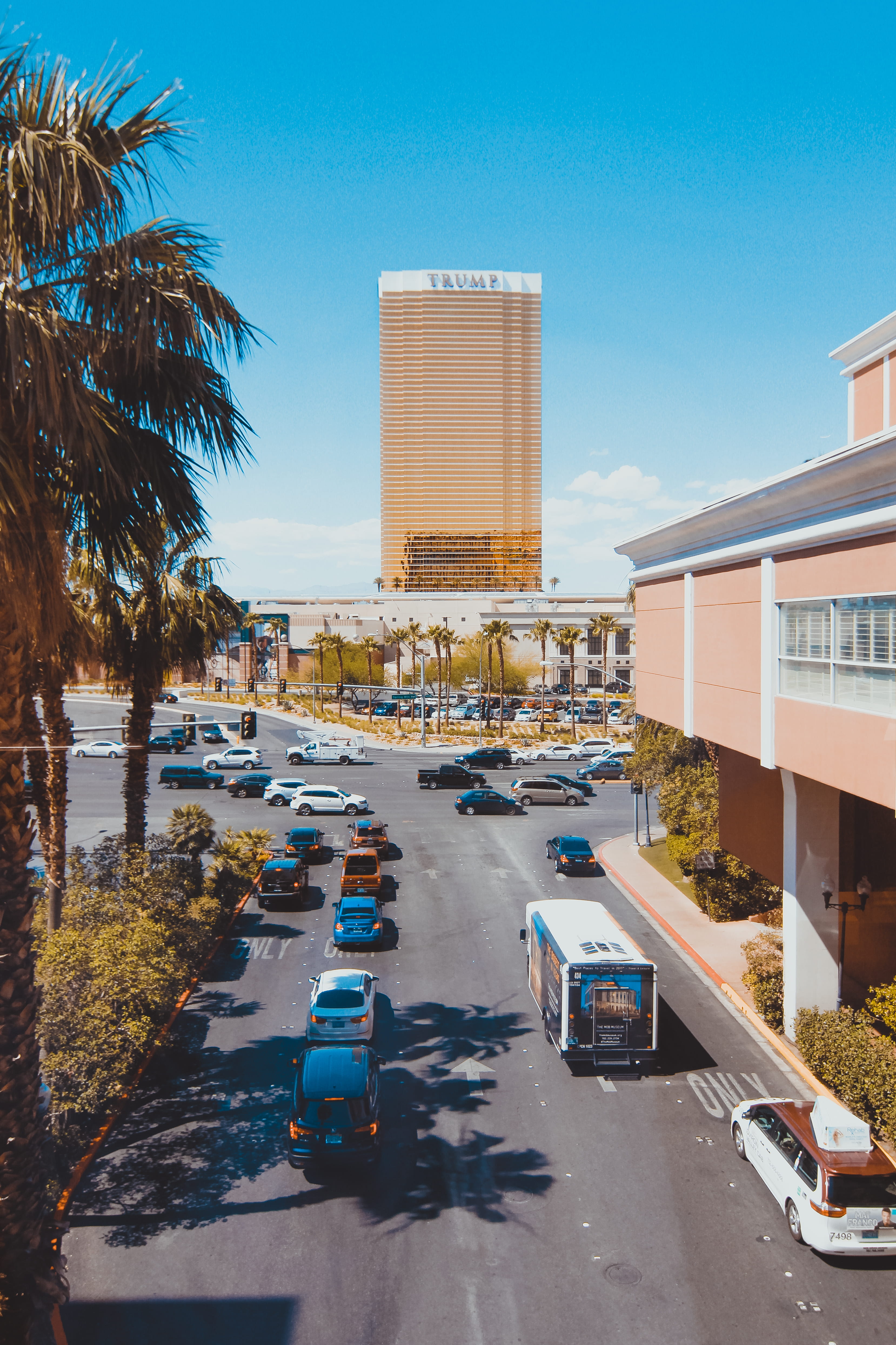 hotel, office building exterior, photography, sky, city, palm trees, beside, road, tower, cars, nature, building exterior, palm tree, outdoors, built structure, Phone HD Wallpaper