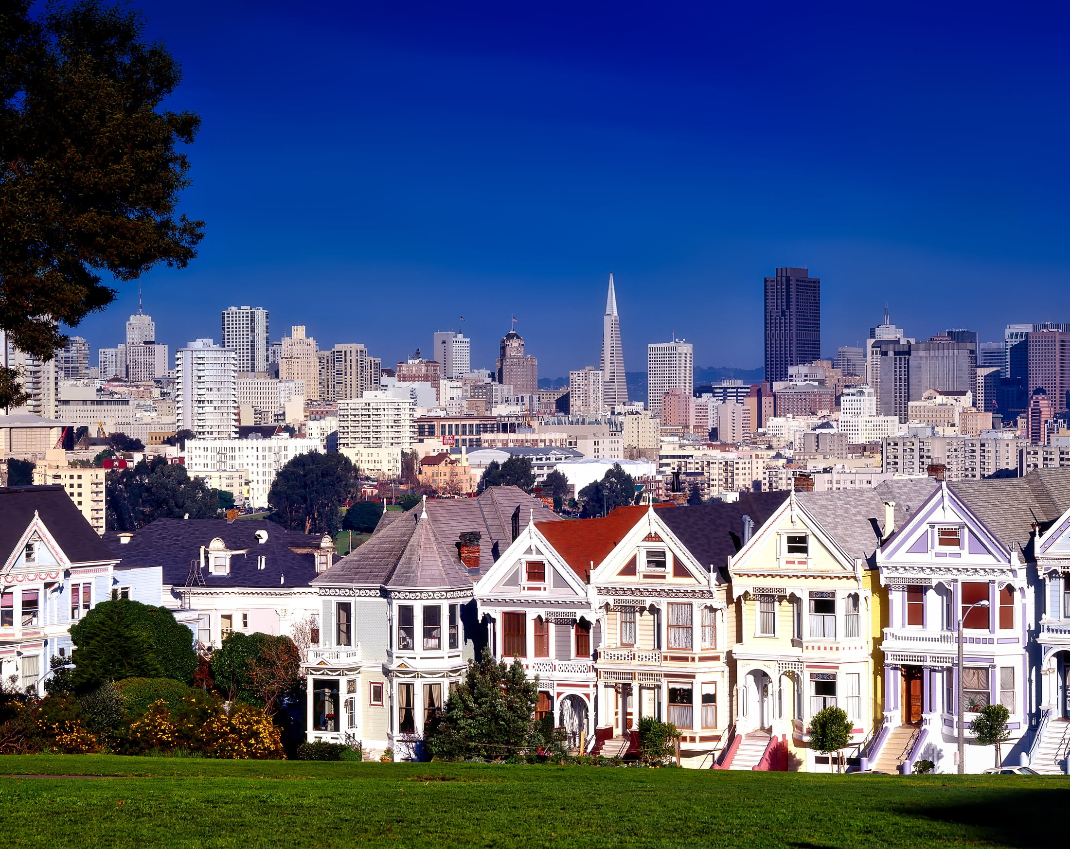 blue, house, day, downtown, urban Skyline, concrete, attractions, tourism, downtown District, building, famous Place, houses, nature, city, tree, cityscape, HD Wallpaper