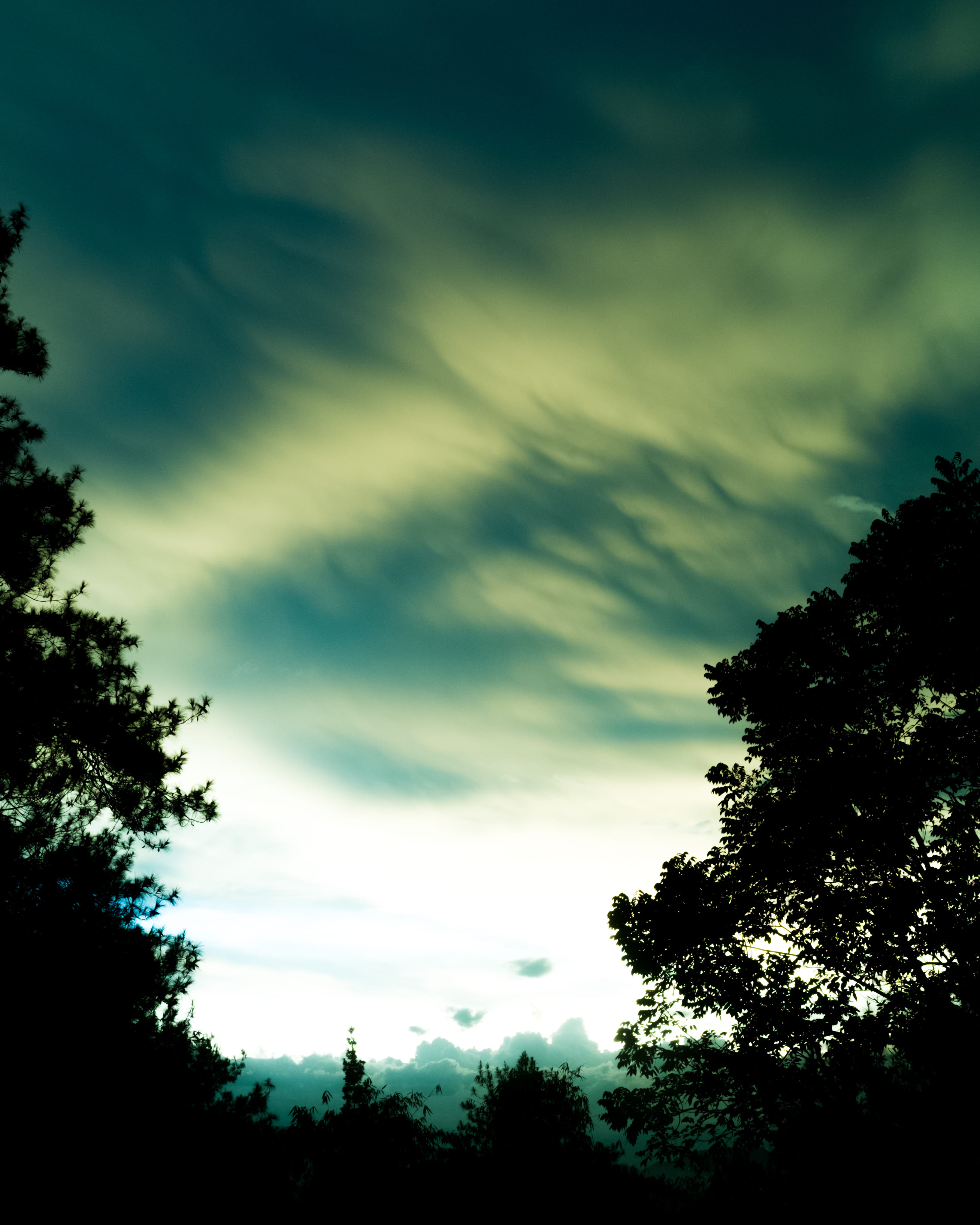 aurora, cloud - sky, afternoon, growth, outdoors, windy, branch, bandung city, beauty in nature, day, no people, sunset, tranquil scene, tree, indonesia, Phone HD Wallpaper