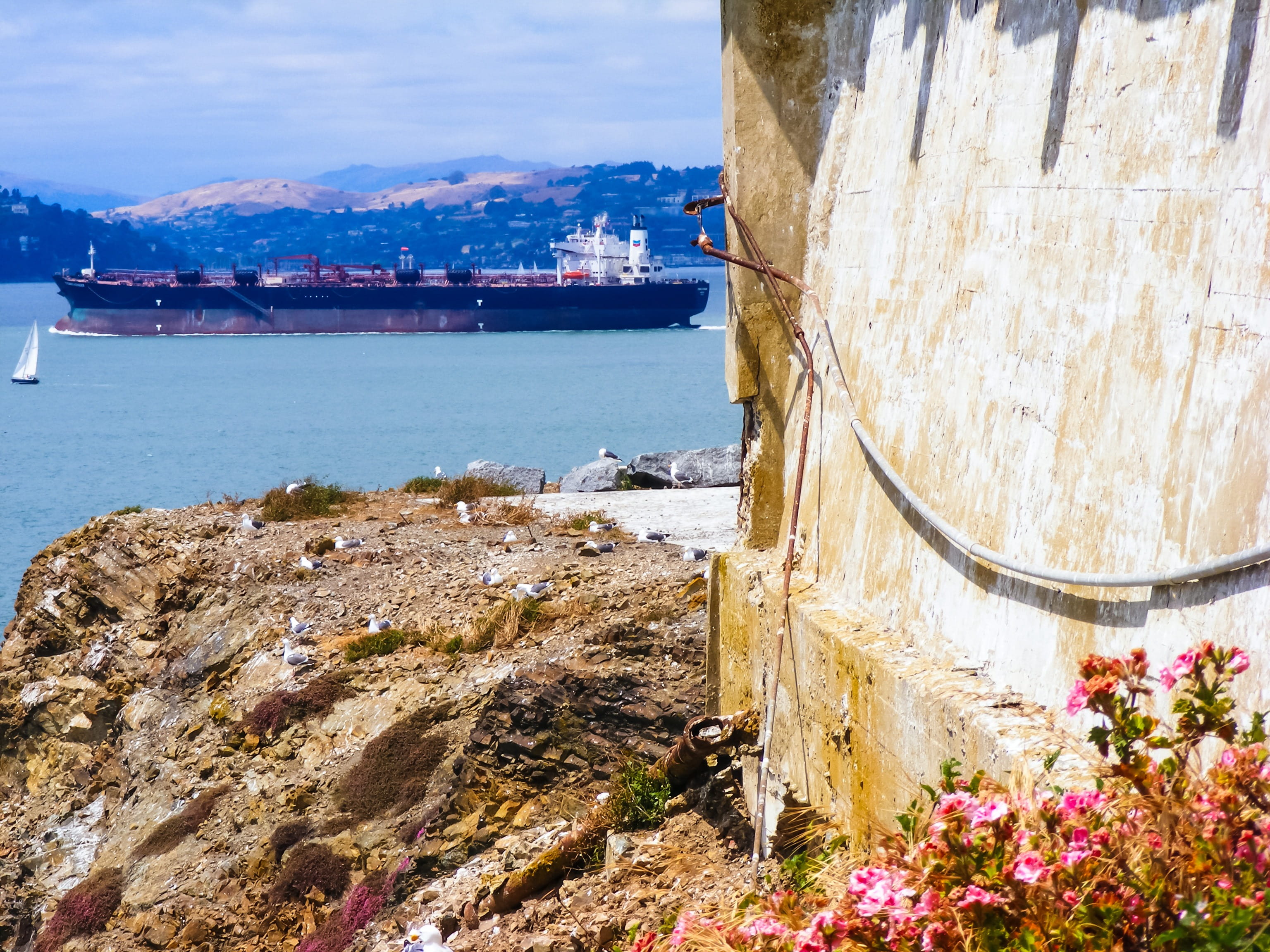 california, alcatraz, hills, sailing, water, rock, architecture, bay, no people, beauty in nature, Prison, day, building exterior, plant, mode of transportation, HD Wallpaper