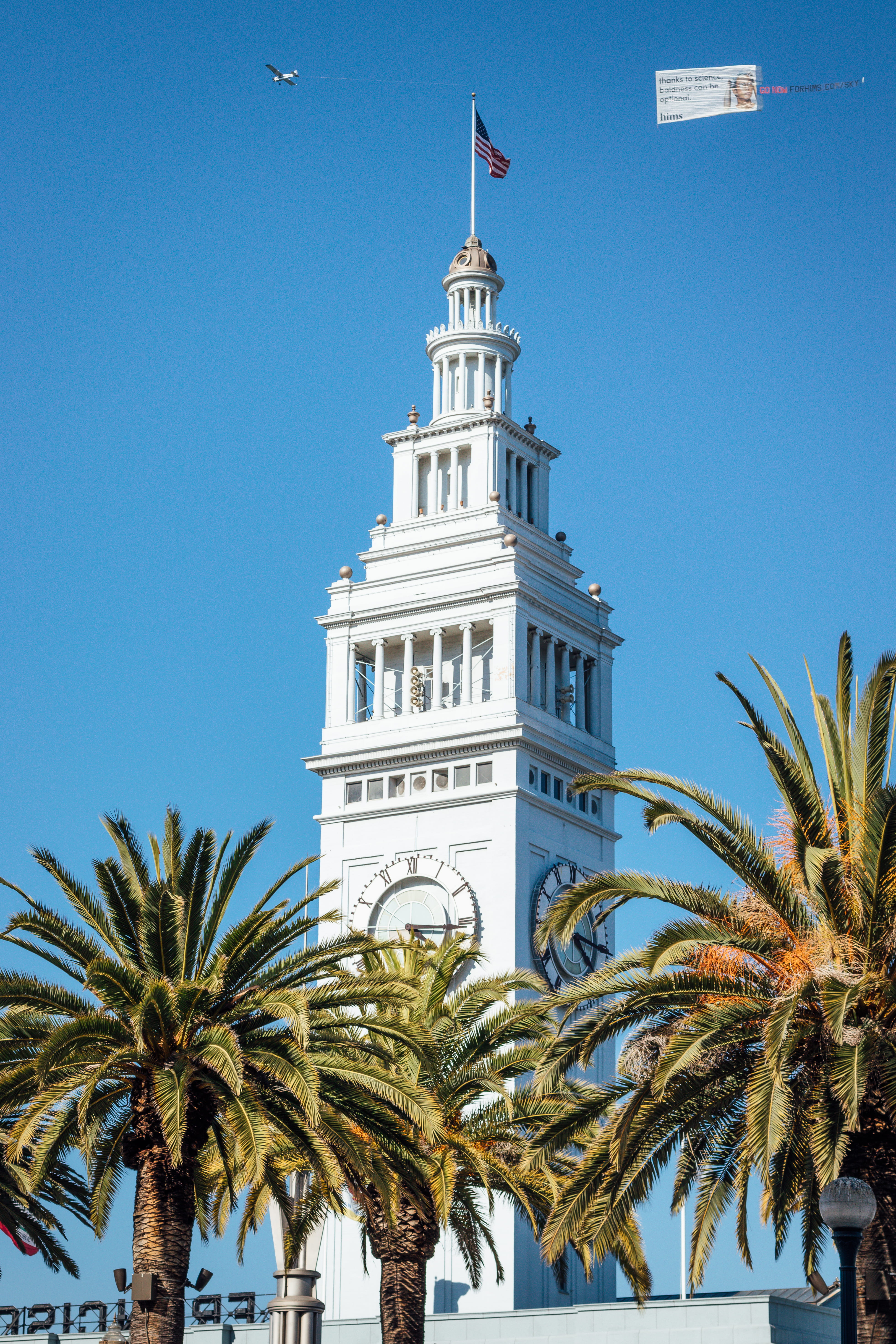 san francisco, tower, growth, tropical climate, day, nature, 5K, travel destinations, palm trees, building, plant, no people, embarcadero, clear sky, ferry, Phone HD Wallpaper