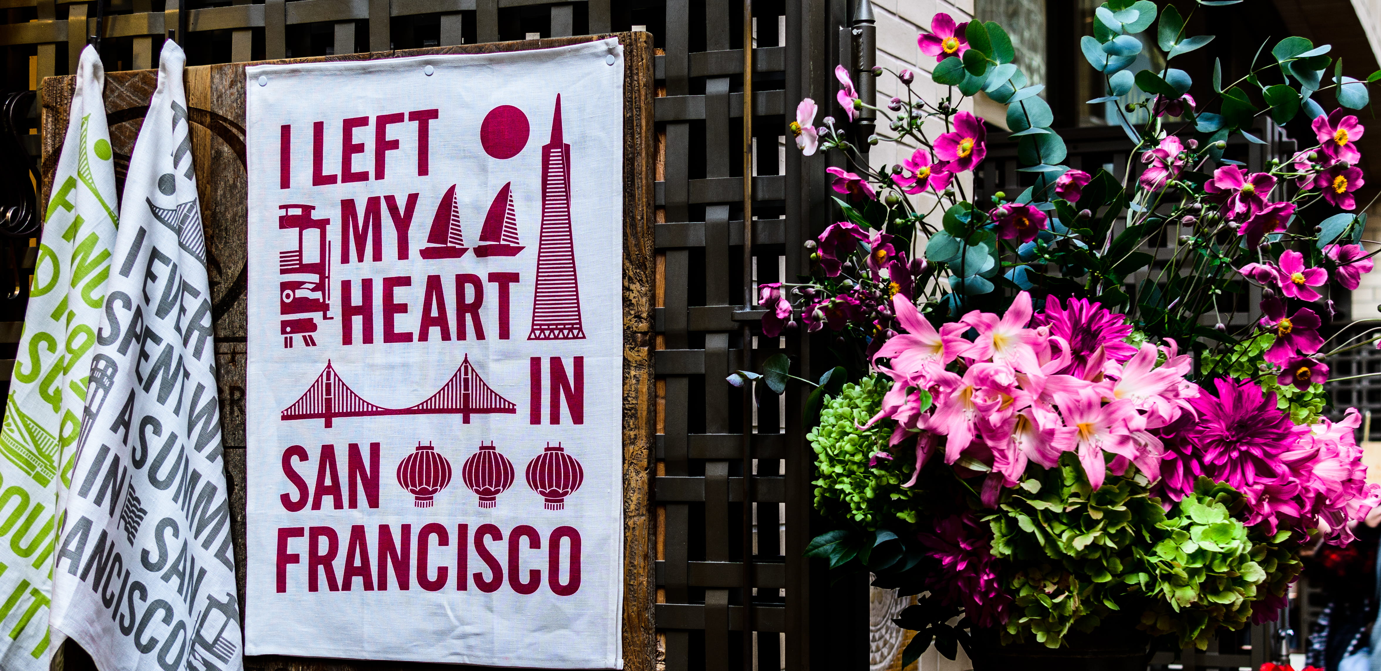 text, nature, business, market, information, united states, communication, day, plant, flower head, flowering plant, sanfrancisco, retail, sign, no people, HD Wallpaper