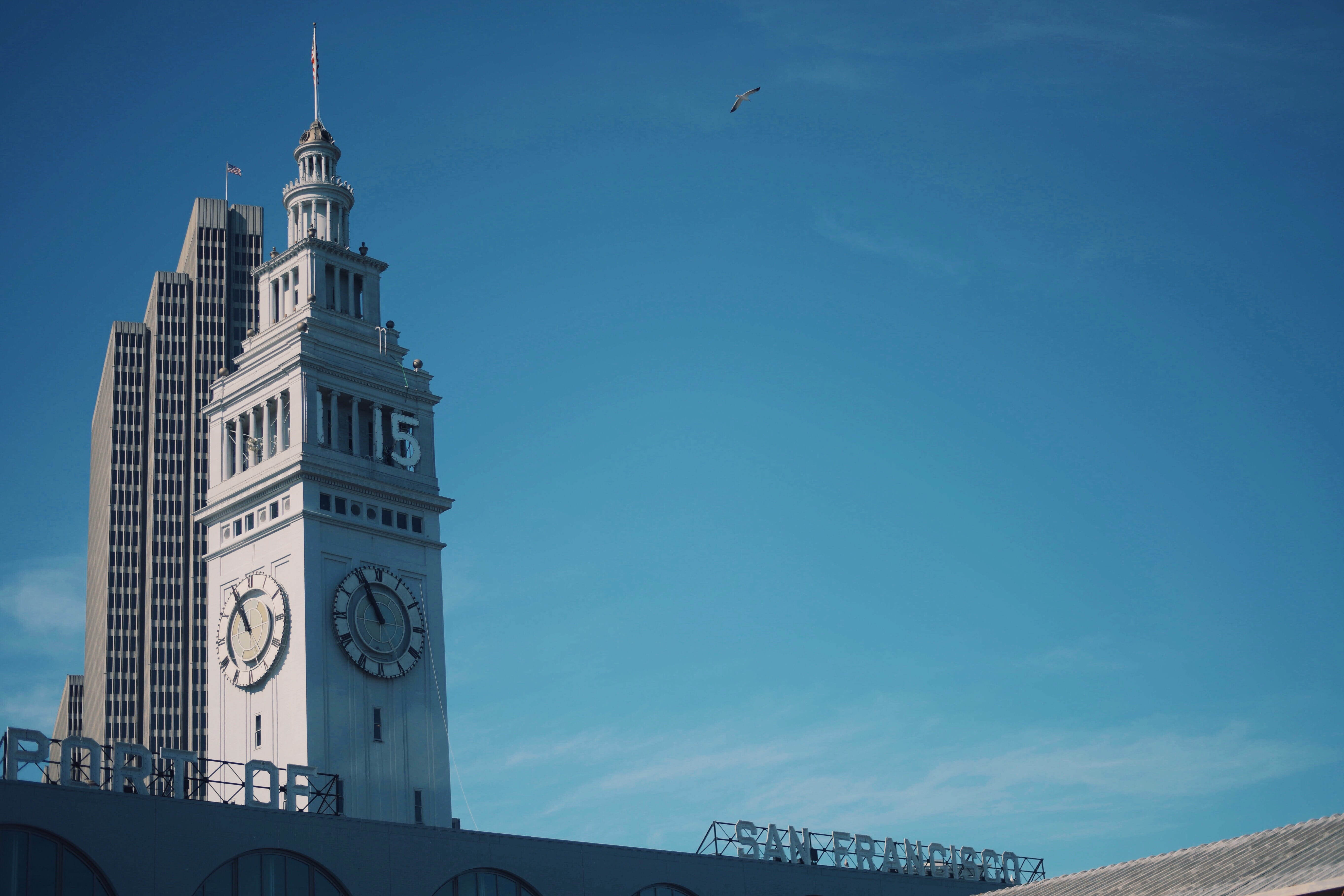 religion, clock, blue sky, nature, tall - high, ferry building, building, spire, tower, low angle shot, low angle view, place of worship, no people, san francisco, HD Wallpaper