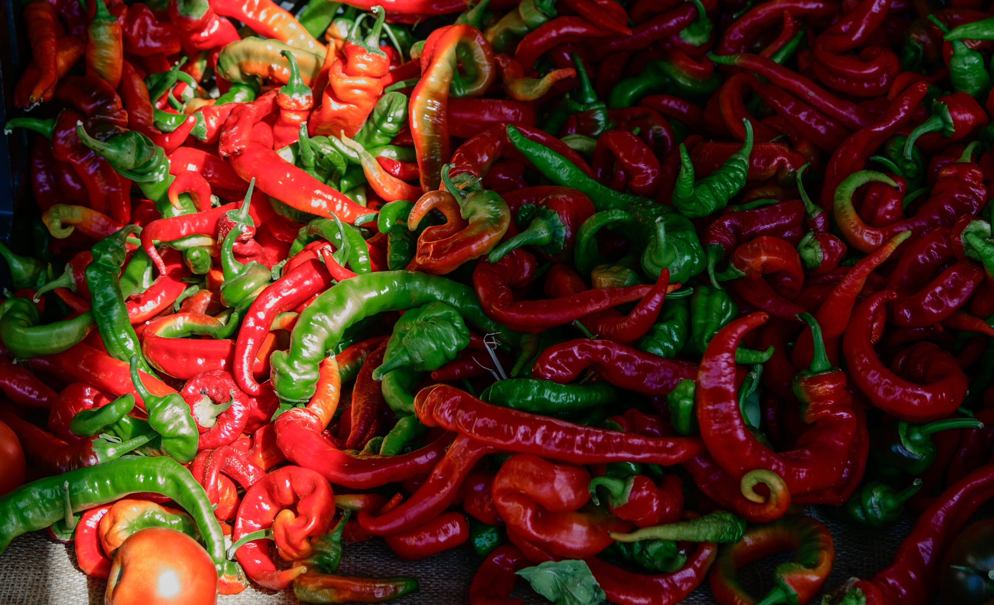 san francisco, large group of objects, food, pepper, no people, chillies, ferry building marketplace, freshness, 2K, united states, vegetable, backgrounds, HD Wallpaper