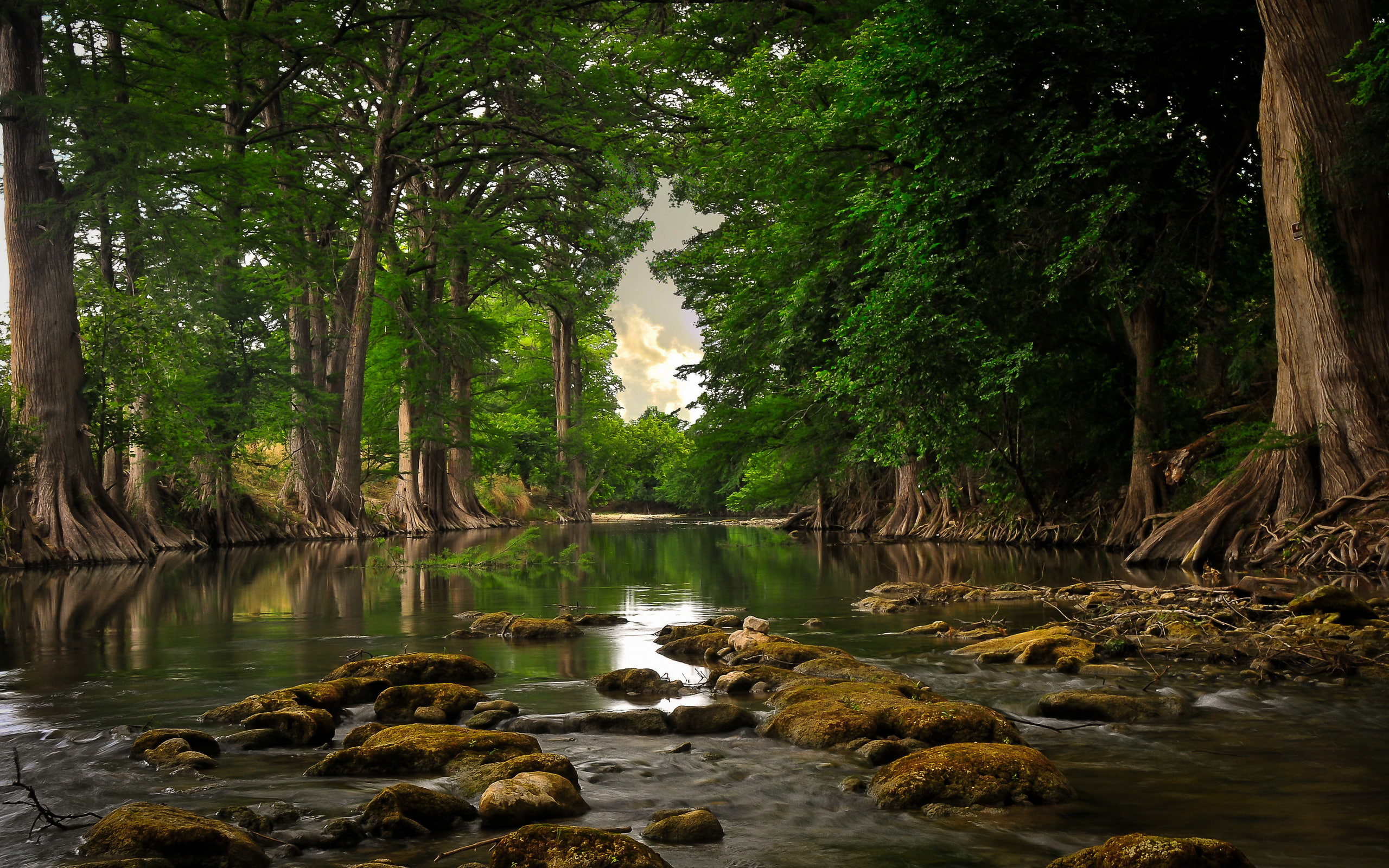 2K, photography, hd, hdr, HD Wallpaper