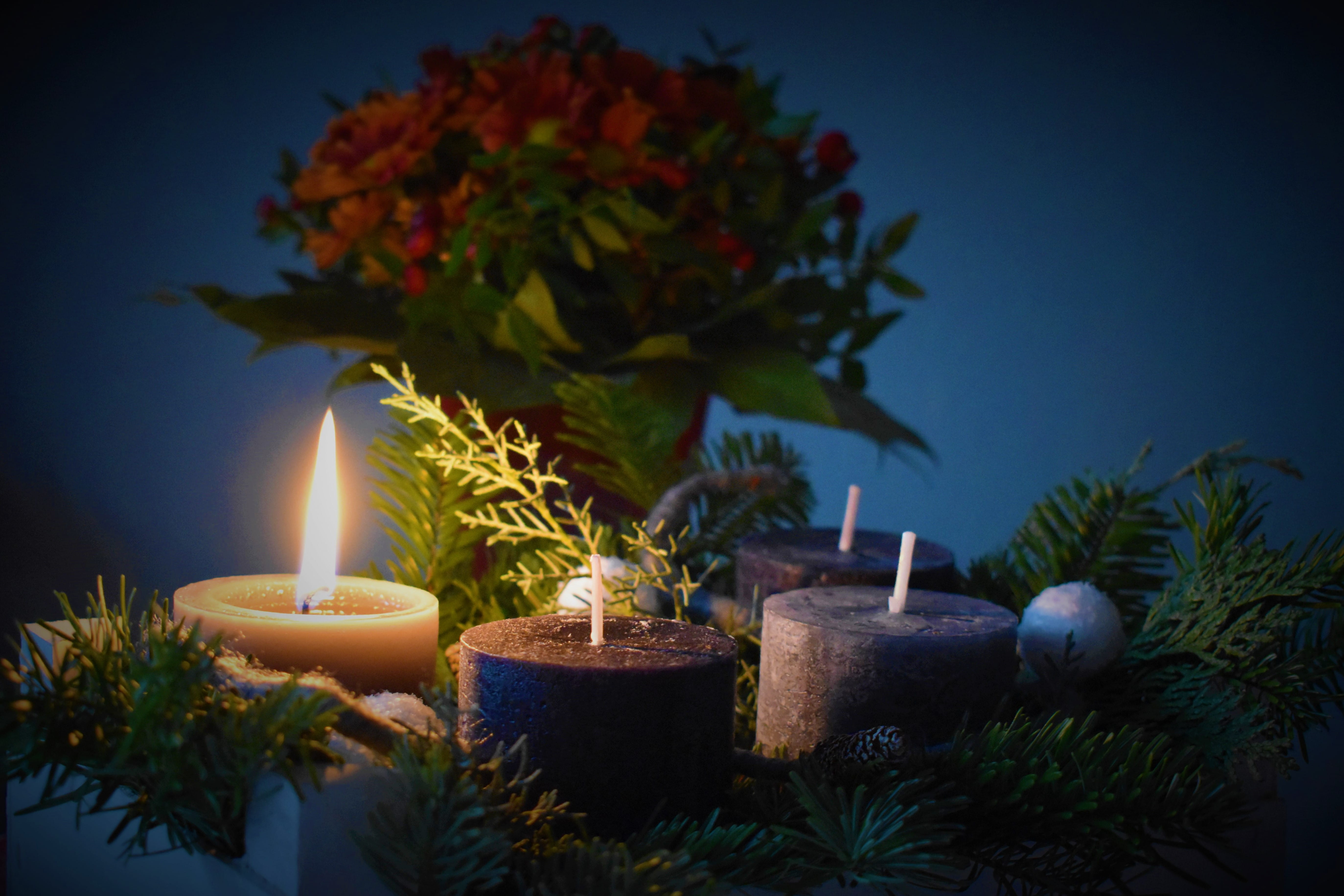 candles, event, 5K, no people, flame, candle, leaf, diwali, burning, holiday, christmas light, plant, torch, indoor, plant part, germany, light, festive, HD Wallpaper
