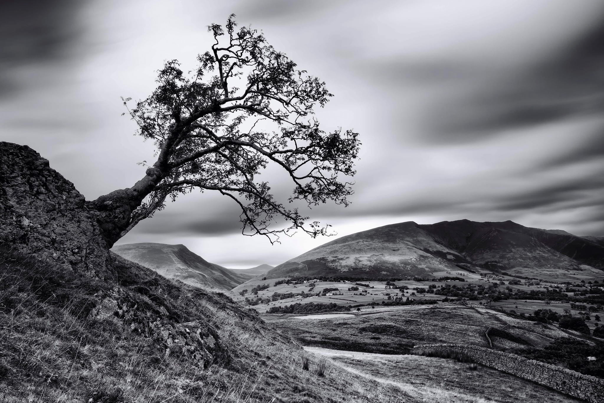 long exposure, remote, outdoors, mountain range, non-urban scene, day, photo, plant, landscape, trees, tall, 1080P, mountain, mountains, no people, grayscale, HD Wallpaper