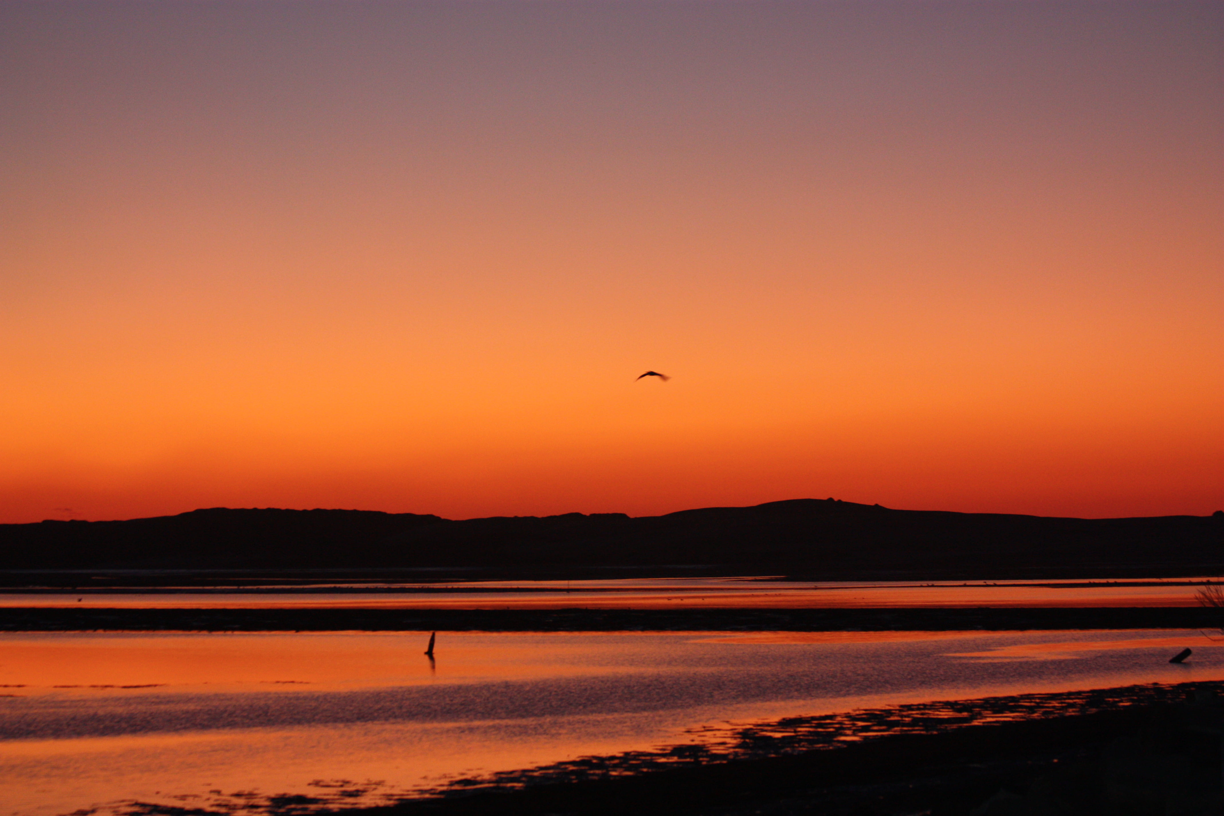 sea, nature, orange Color, marina, sky, silhouette, body, dusk, hill, mirrored, orange, sunset, reflection, orange sky, water, morro  bay, body of water, HD Wallpaper