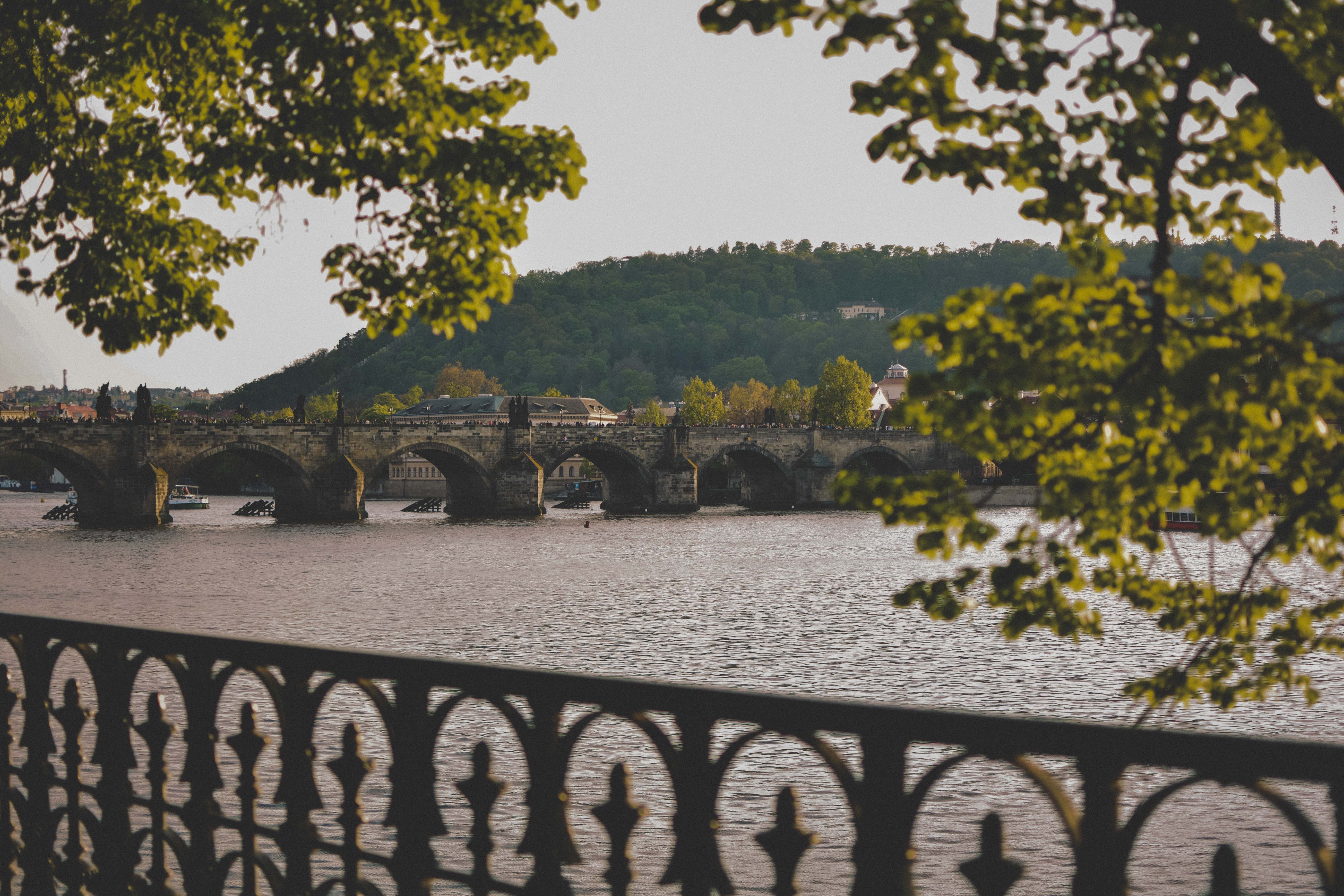 balustrade, day, architecture, trees, nature, daylight, beauty in nature, tree, 5K, built structure, railing, prague, charles bridge, sky, crawd, charles, HD Wallpaper