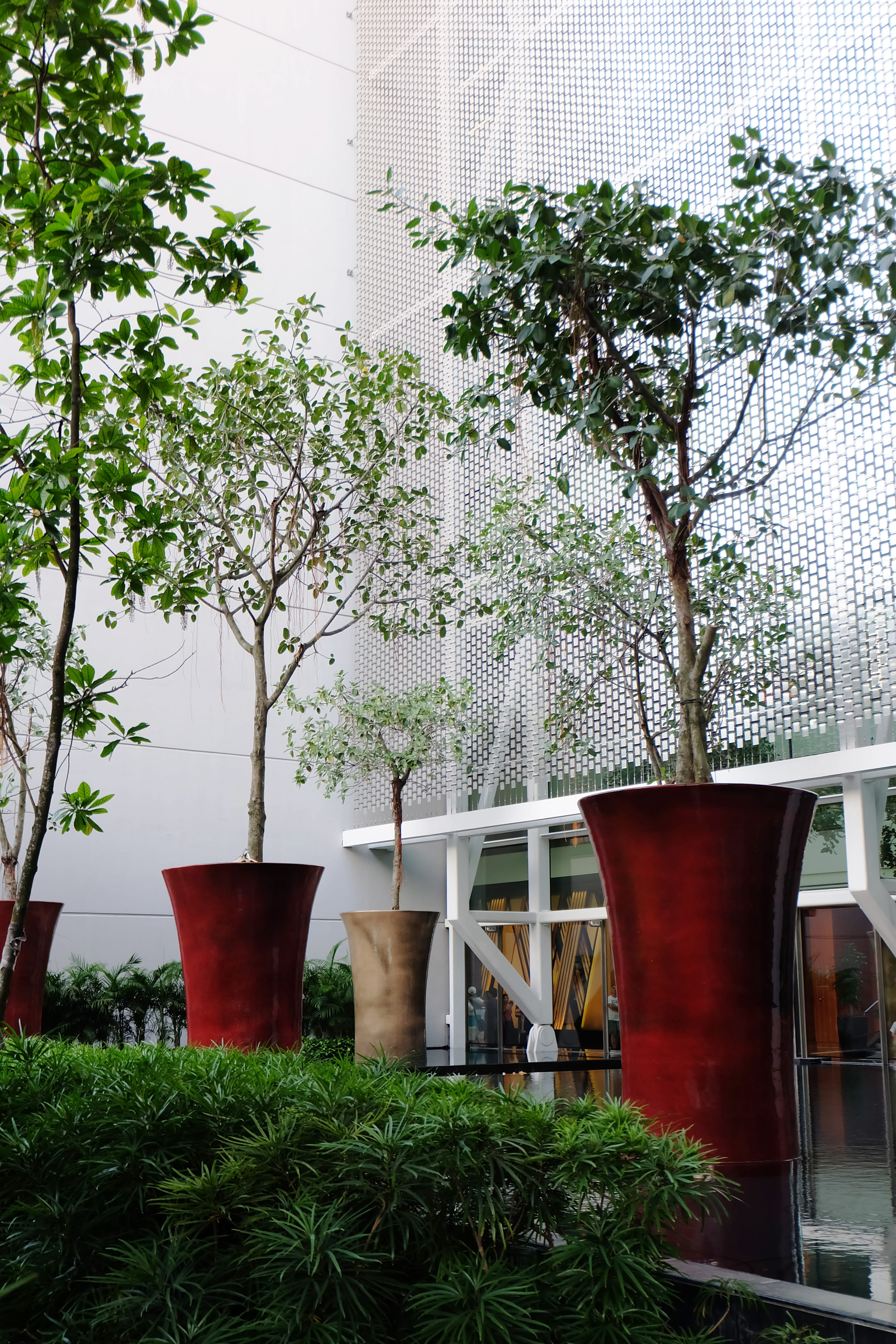 marina bay sands hotel, front or back yard, ⠀summer, chair, 싱가폴, building exterior, building, 싱가포르, park, growth, seat, 4K, singapore, decoration, Phone HD Wallpaper