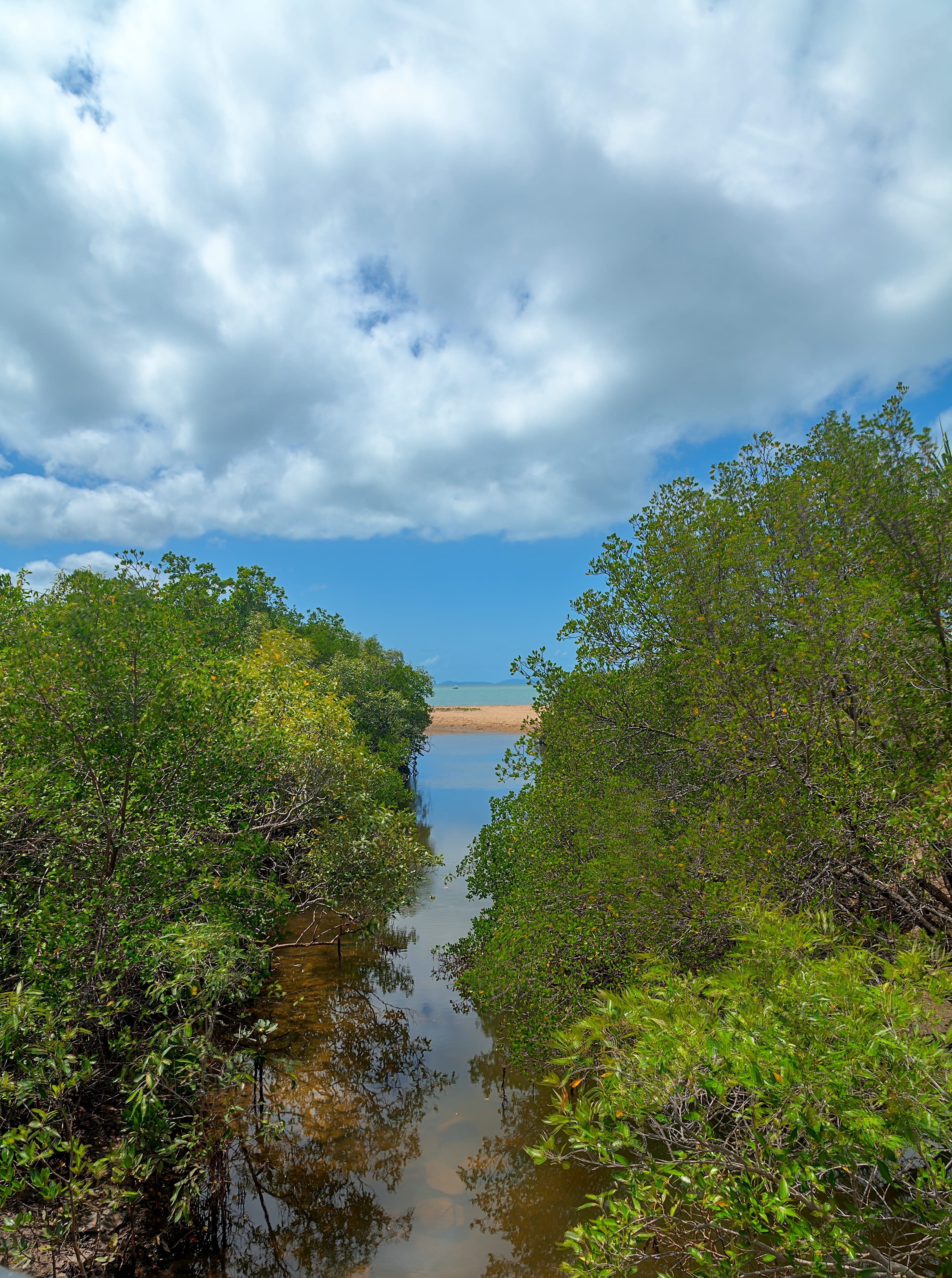 no people, tropics, green color, reflection, mangroves, 4K, beauty in nature, water, nature, growth, plant, cloud - sky, outdoors, creek, tree, scenics - nature, Phone HD Wallpaper