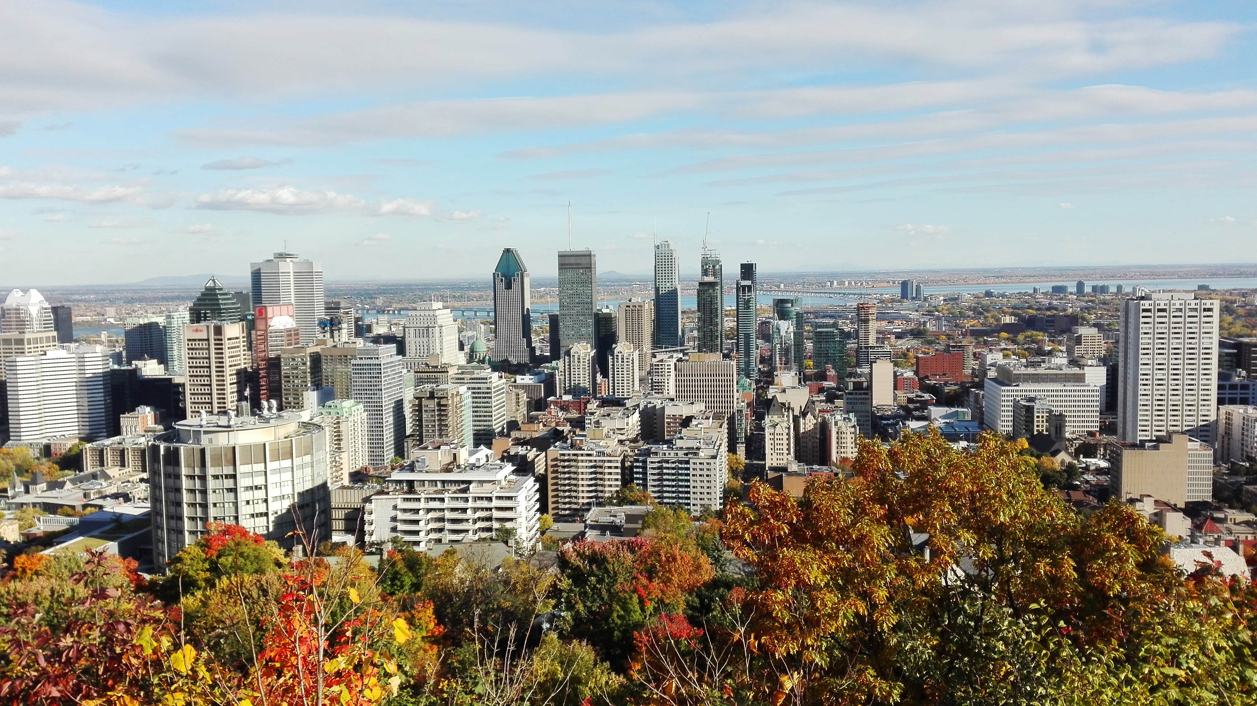 building exterior, tall - high, 4K, tree, royal, canada, panorama, mount, built structure, skyscraper, settlement, no people, residential district, nature, HD Wallpaper