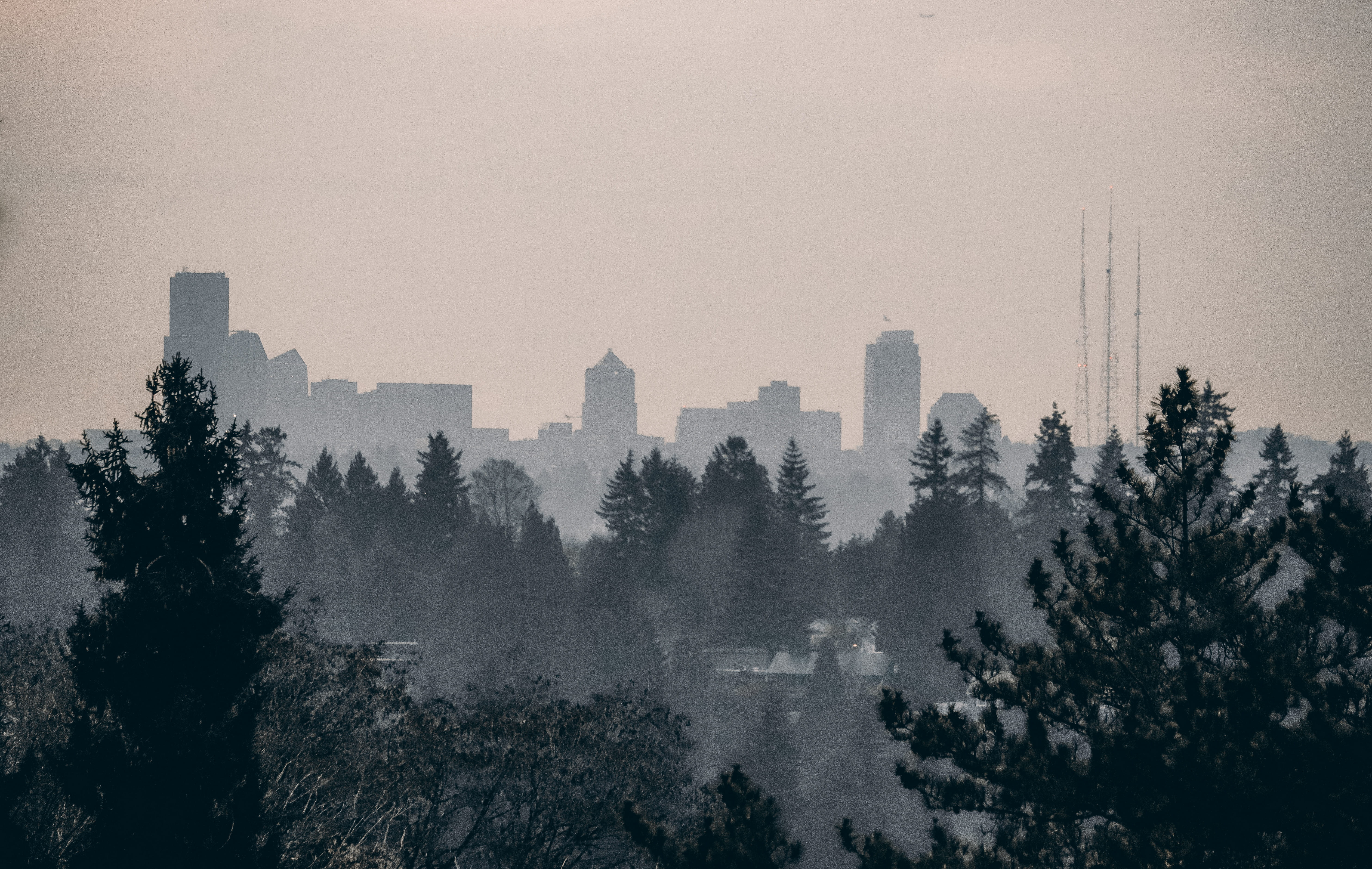 built structure, plant, building exterior, sunset, tree, seattle wa, united states, fog, towers, 5K, pollution, high angle view, haze, washington, trees, HD Wallpaper