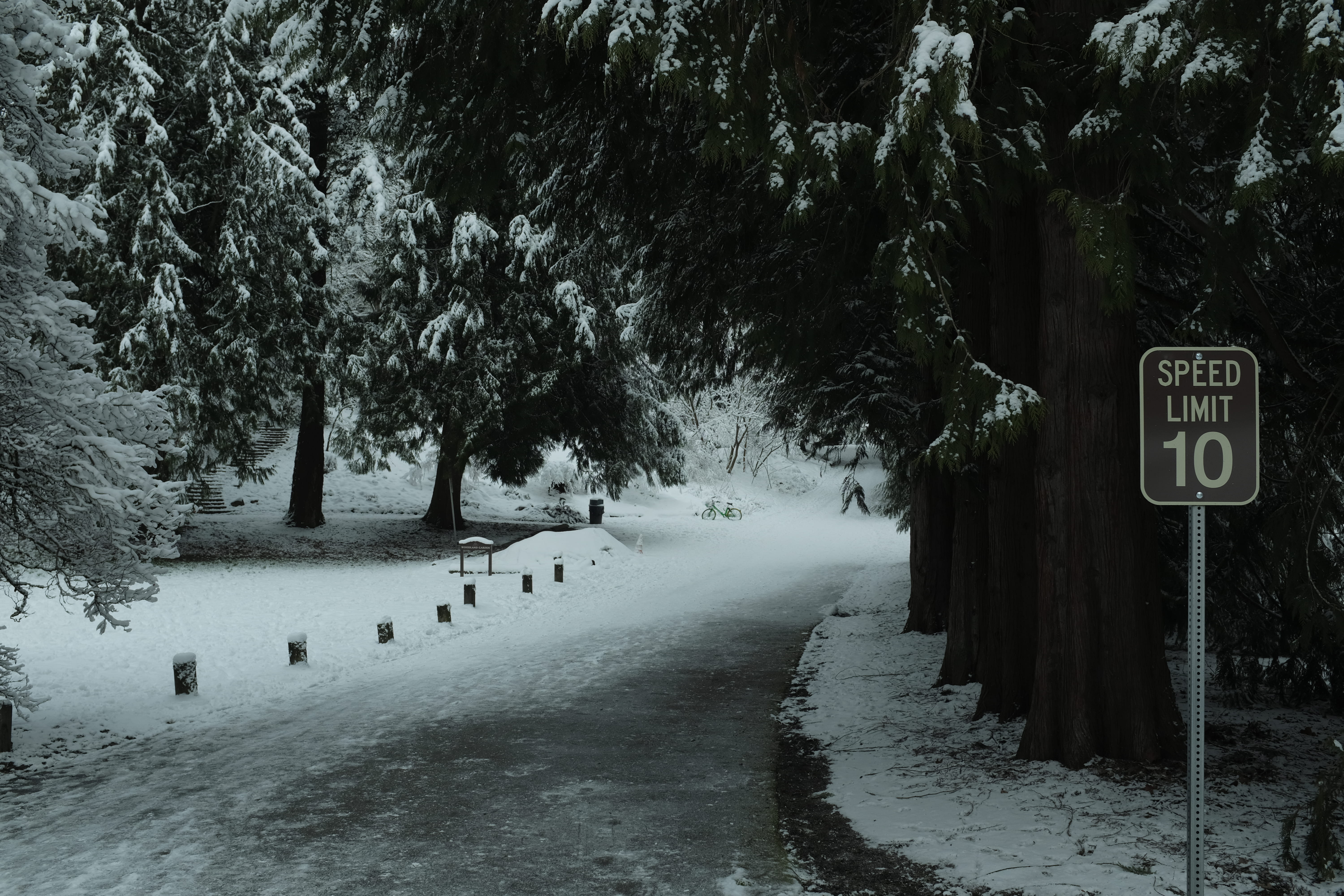 no people, seattle snow, tranquility, 5K, day, winter, tree trunk, plant, signage, scenics - nature, seattle, fir, trees, speed, covered, road, beauty in nature, HD Wallpaper