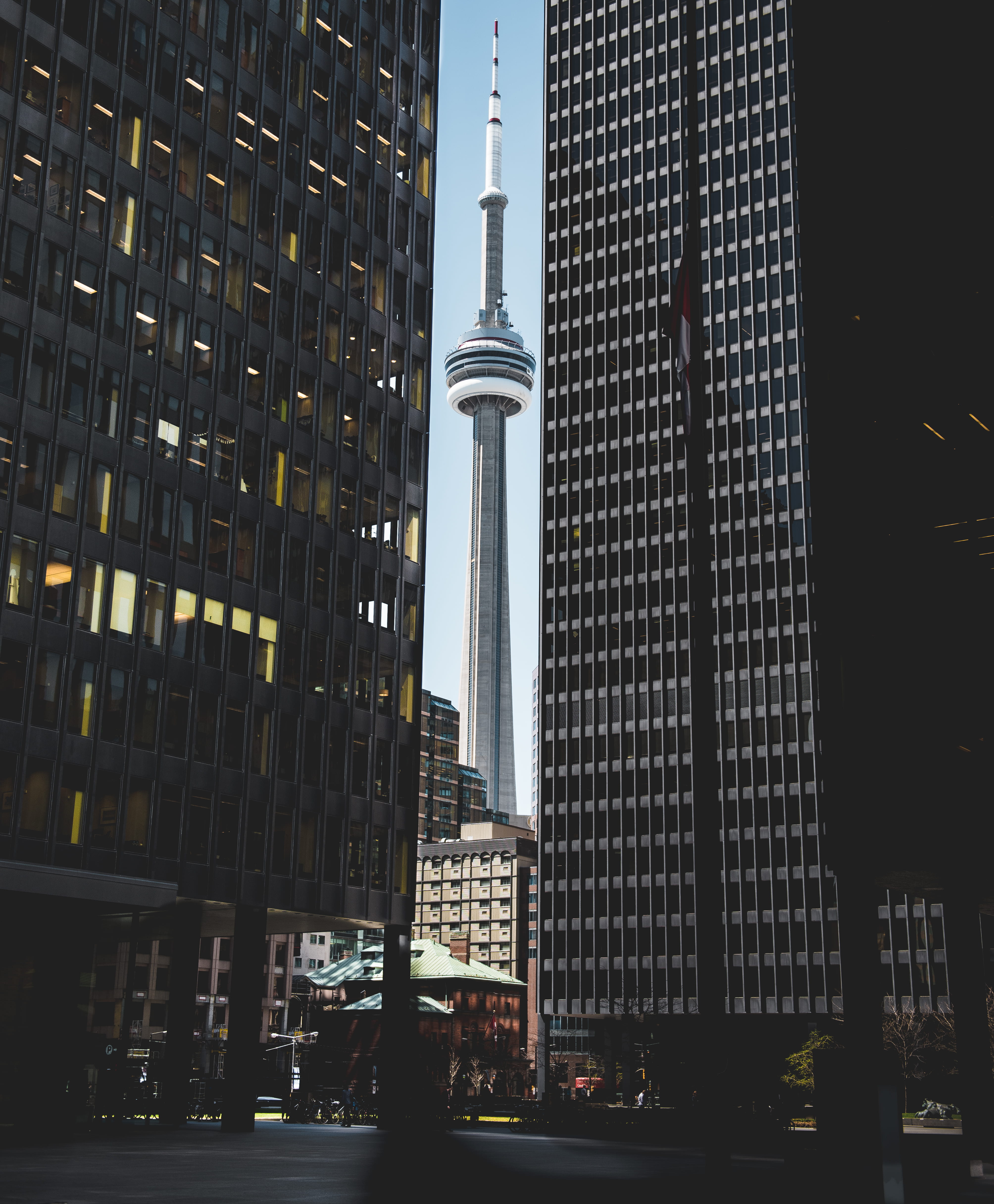 tall - high, nature, built structure, middle, low angle view, seattle, tower, cn tower, office building exterior, residential district, street light, building exterior, Phone HD Wallpaper
