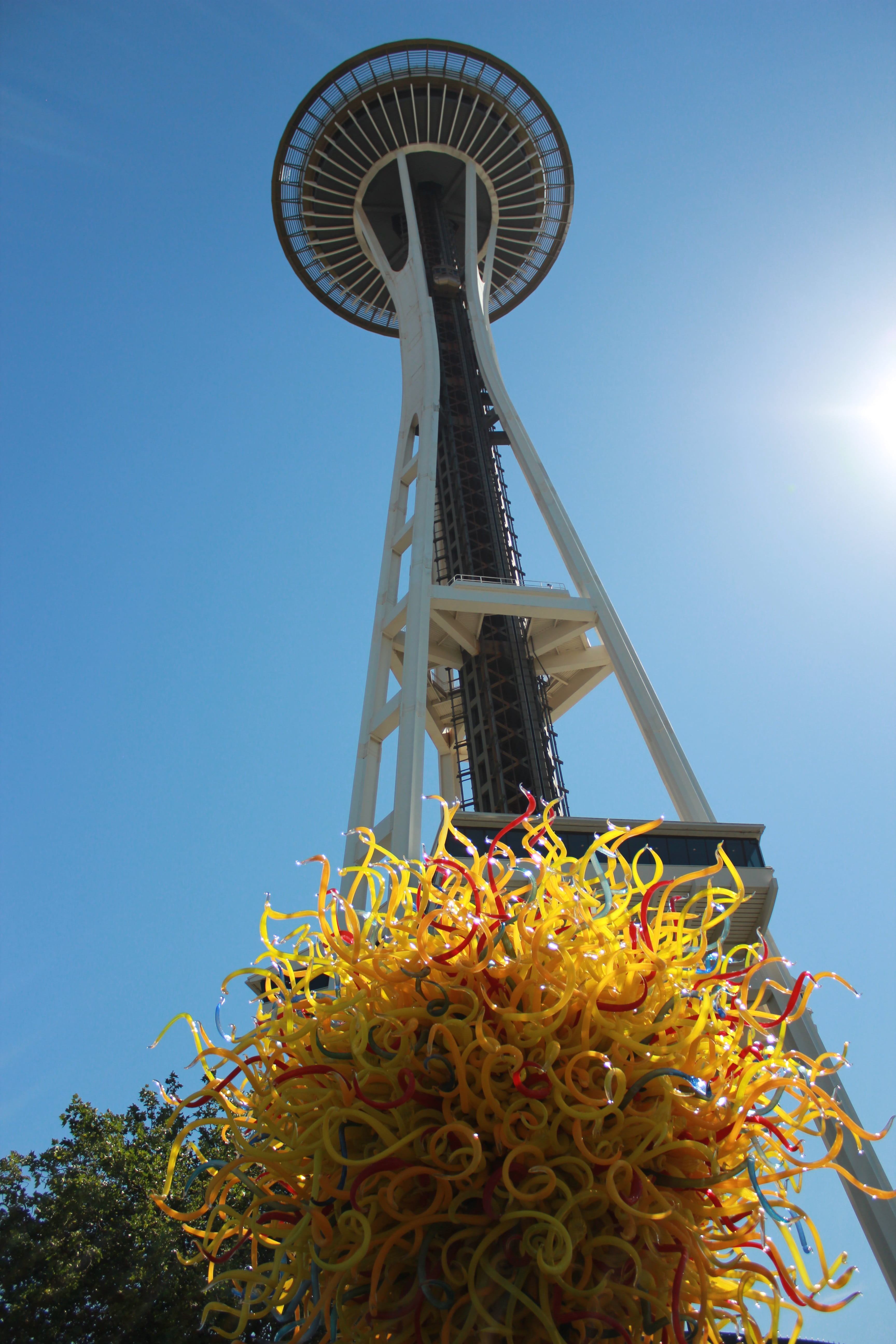tall, growth, fragility, clear sky, vulnerability, architecture, sunlight, flower head, tower, day, outdoors, sky, low angle view, space needle, 5K, freshness, Phone HD Wallpaper