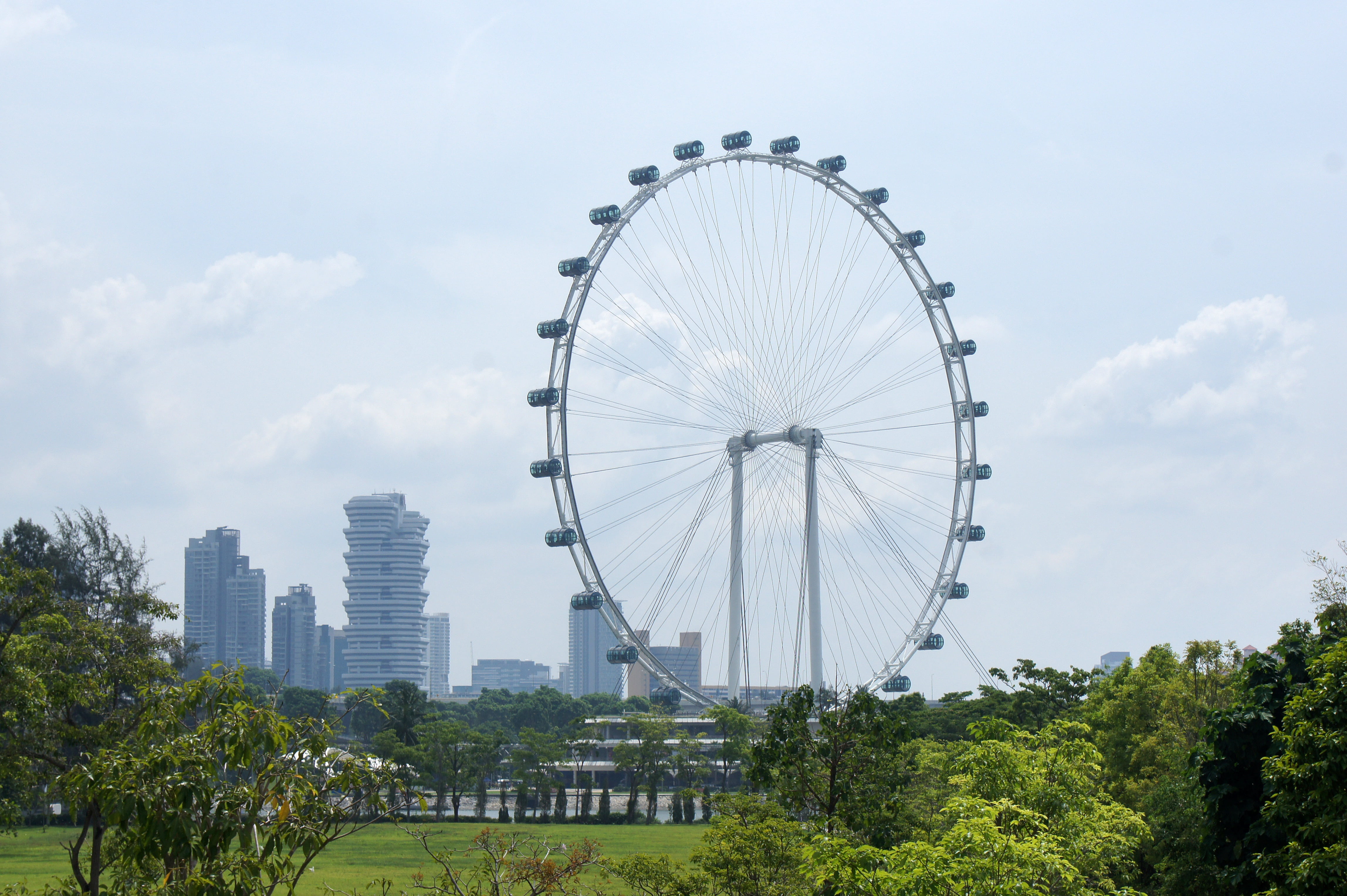 ferris wheel, plant, amusement park ride, building, no people, flyer, marina, 4K, landscape, nature, cityscape, day, bay, skyscraper, outdoors, building exterior, HD Wallpaper
