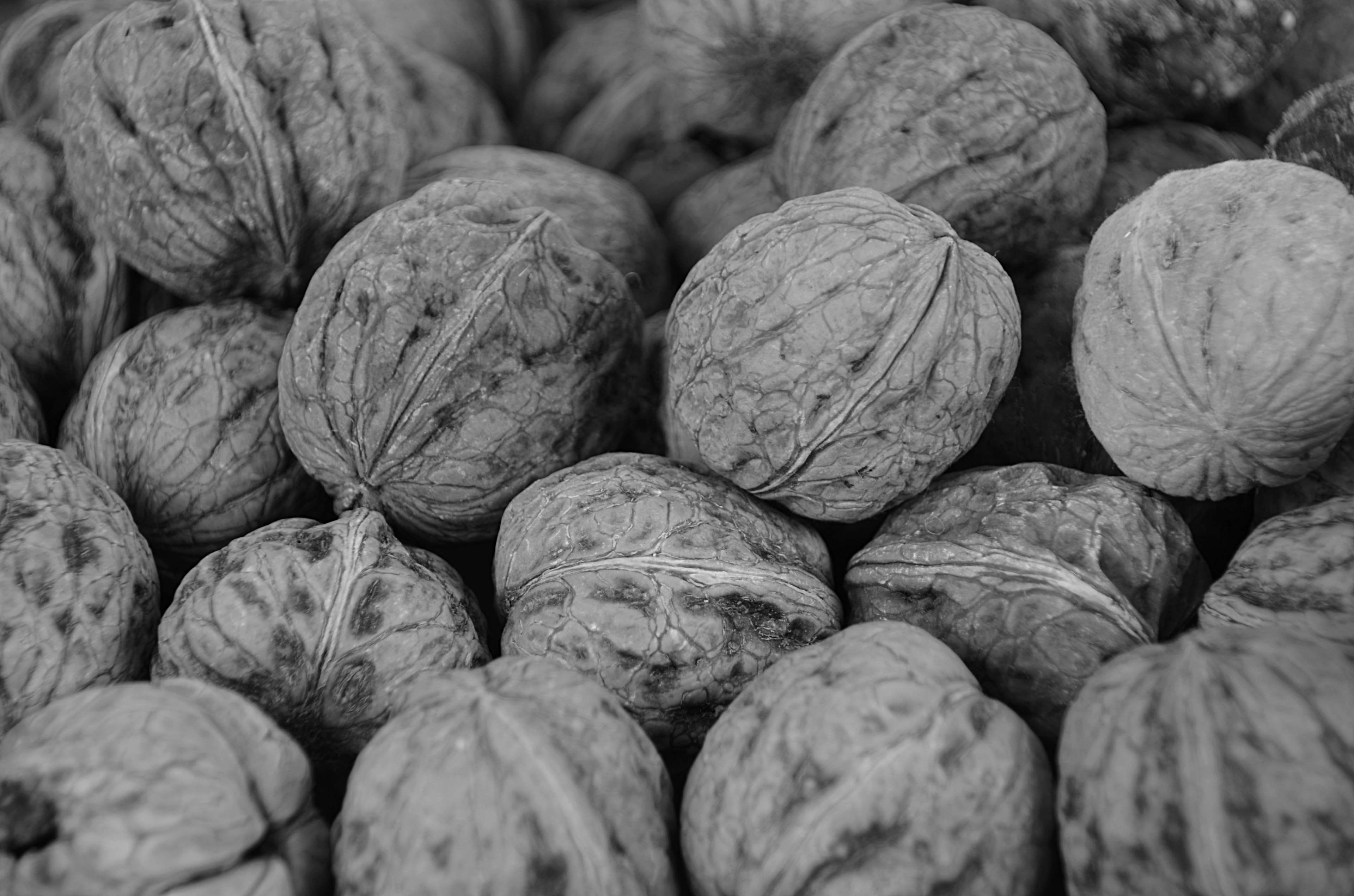 alimentation, food and drink, indoors, walnut, fruit, still life, close-up, no people, freshness, healthy eating, wellbeing, full frame, noix, vegetarian food, HD Wallpaper