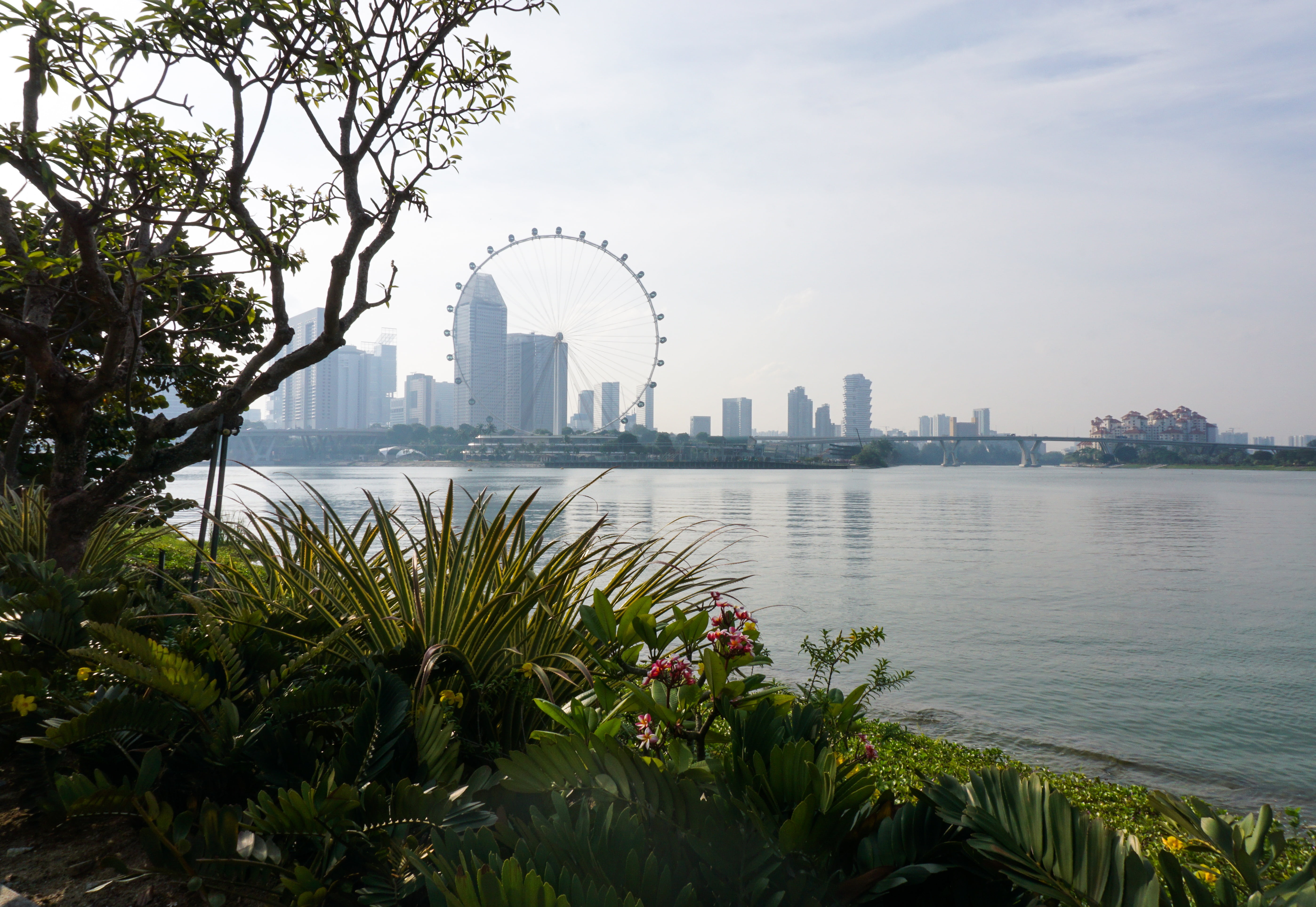 downtown District, office building exterior, building exterior, financial district, landscape, water, architecture, ferris wheel, singapore, bay, urban Scene, HD Wallpaper