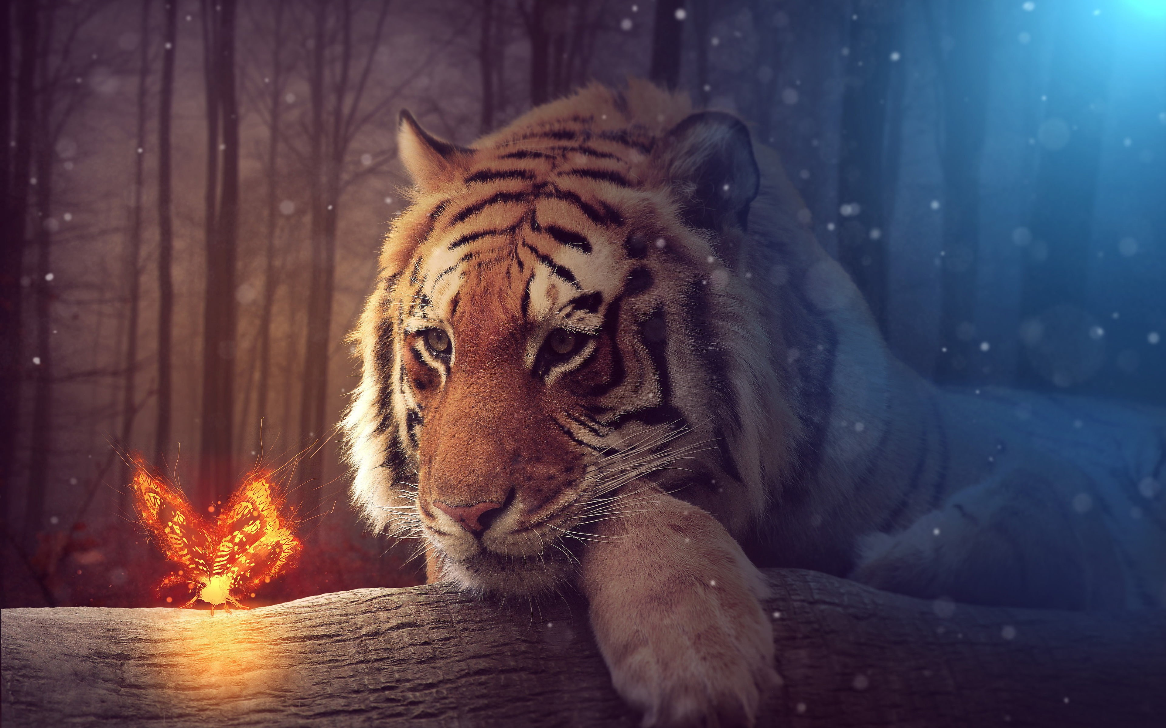 mammal, nature, butterfly, animals in the wild, high, artwork, one animal, cold temperature, jungle, wood - material, fire, k, cat, winter, no people, animal head, HD Wallpaper