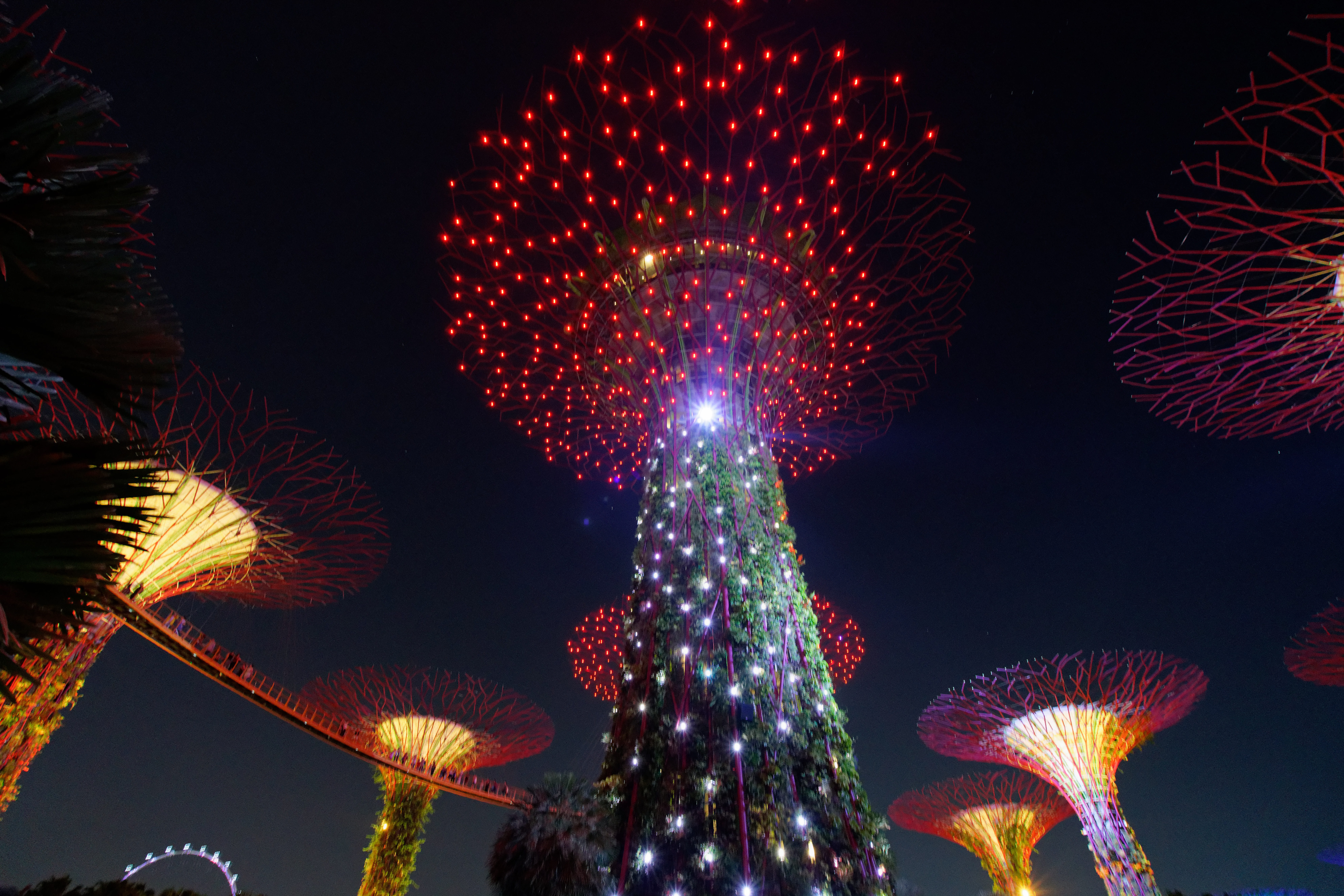 fireworks, architecture, sky, nature, ferris wheel, ornament, multi colored, new years eve, event, christmas tree, celebration, garden bay, carnival, arts culture and entertainment, HD Wallpaper