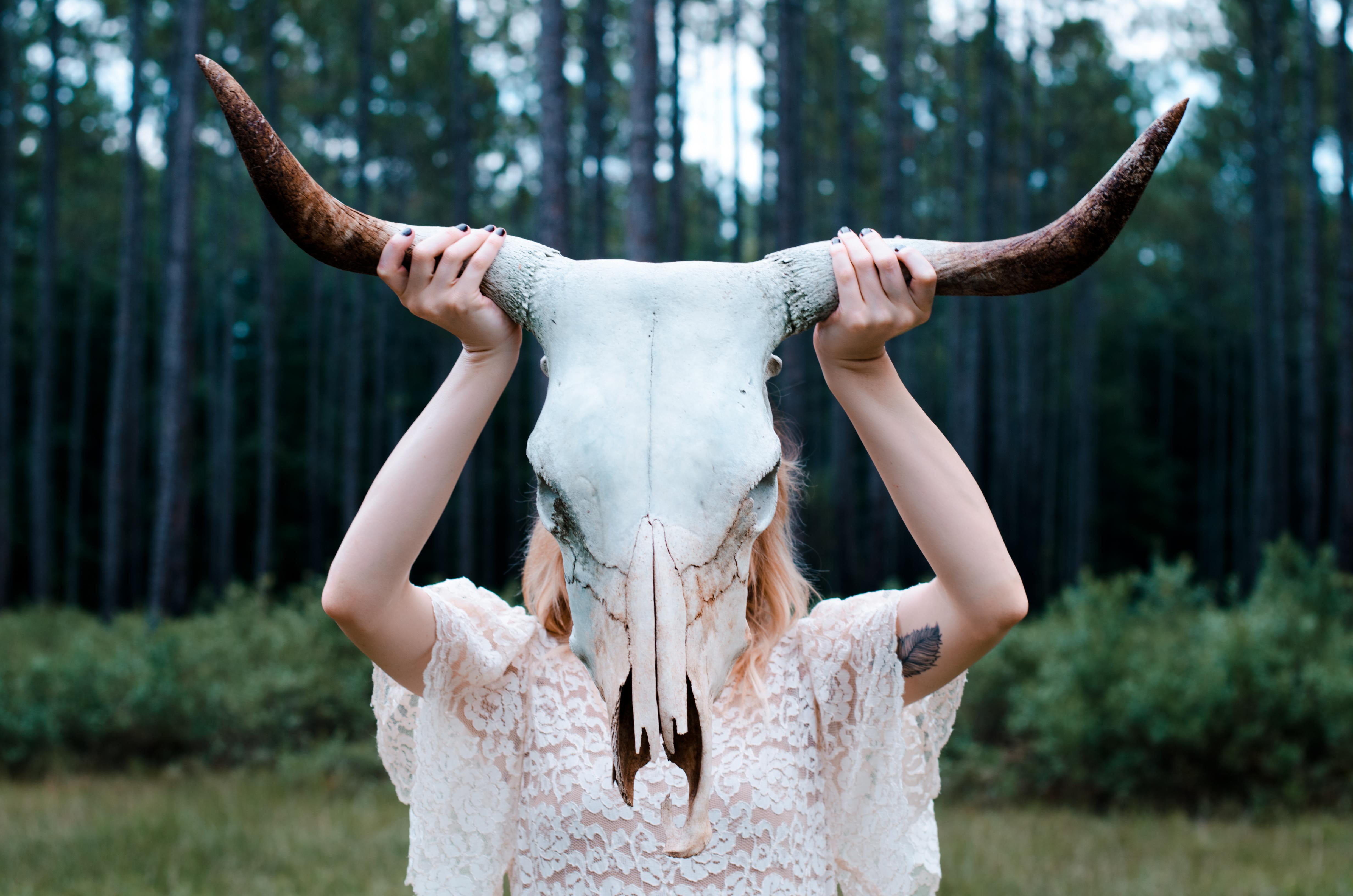 depth of field, human arm, plant, one person, 4K, tattoo, waist up, horns, forest, arms raised, animal body part, animal wildlife, covering face, leisure activity, HD Wallpaper